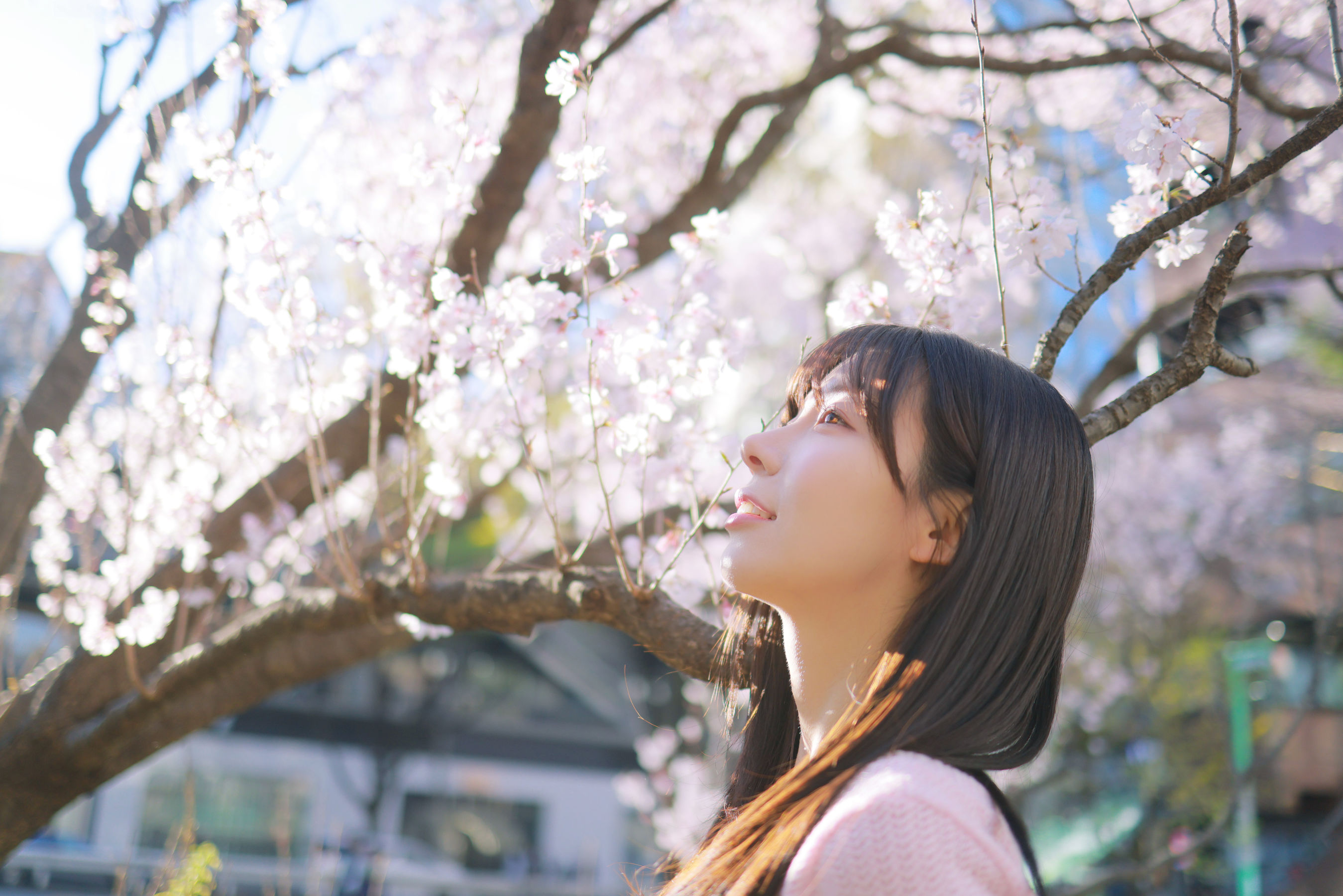 [PATREON] Sovely - Sakura Vol.1