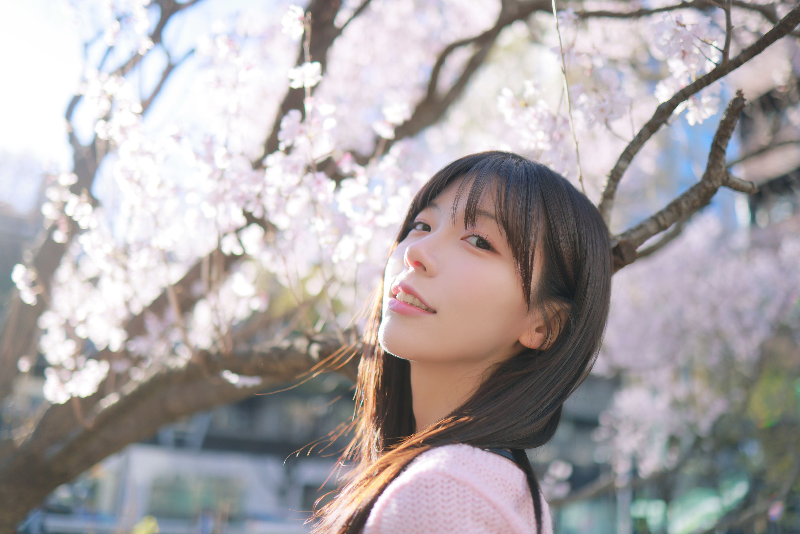[PATREON] Sovely - Sakura Vol.1