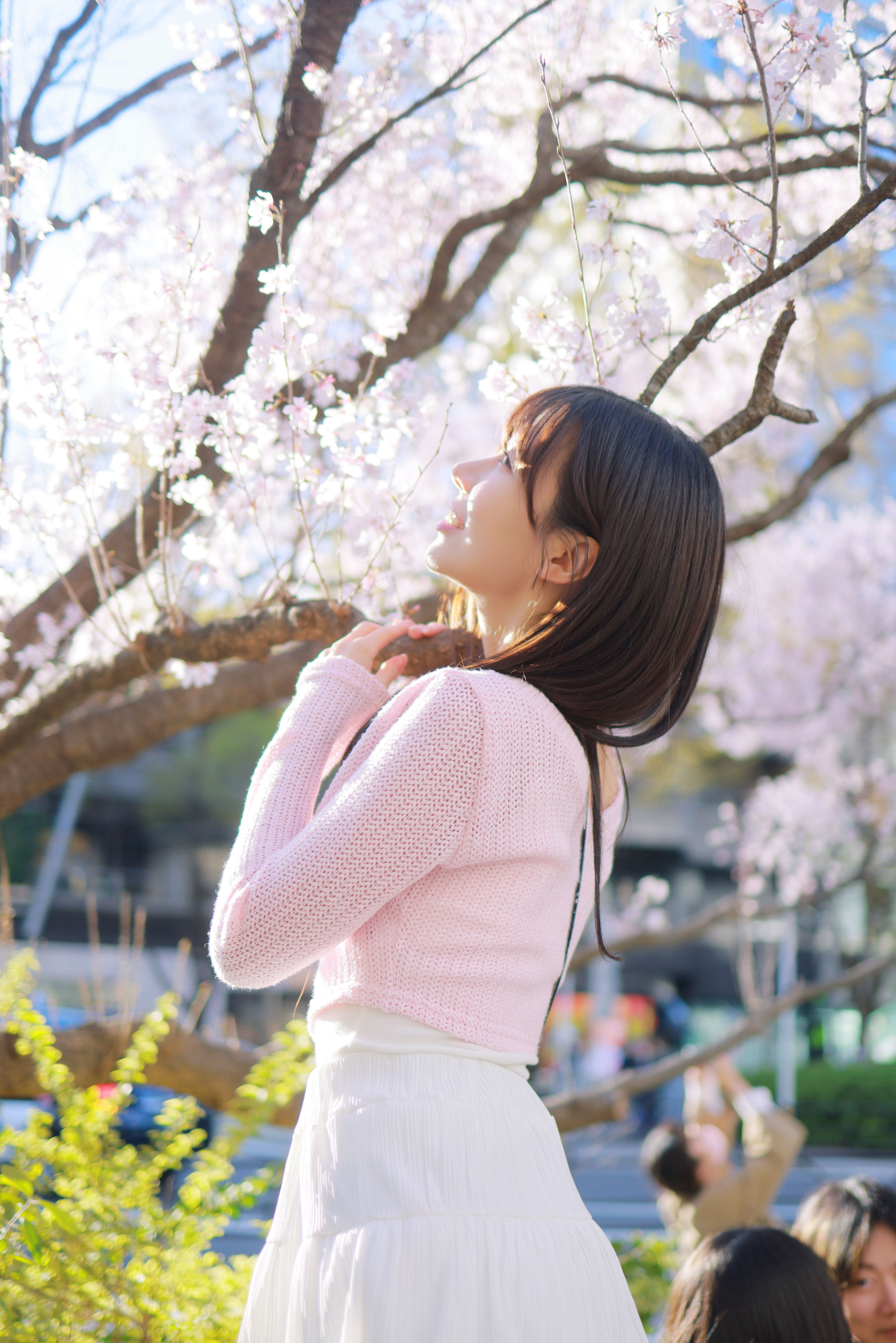 [PATREON] Sovely - Sakura Vol.1