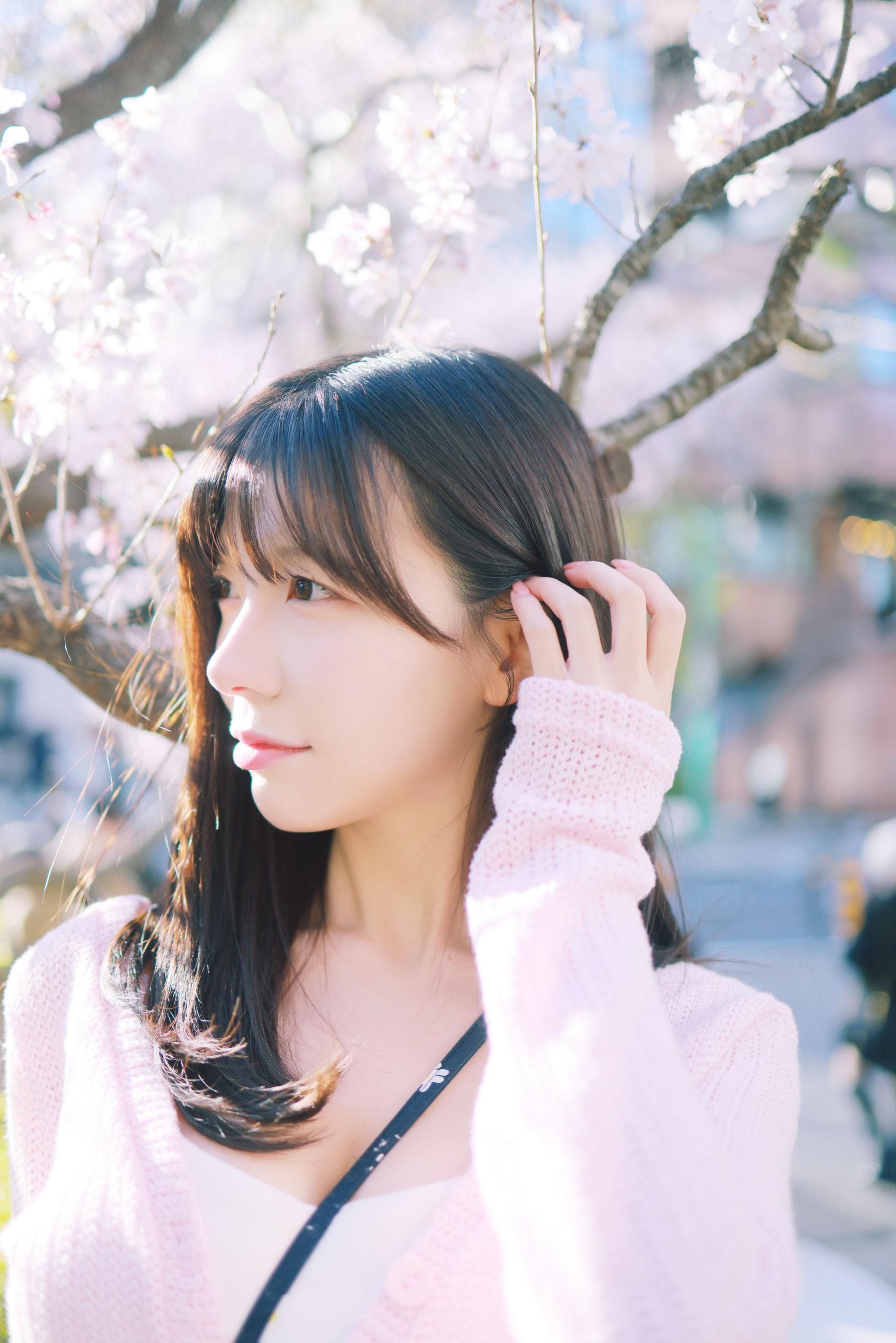 [PATREON] Sovely - Sakura Vol.1