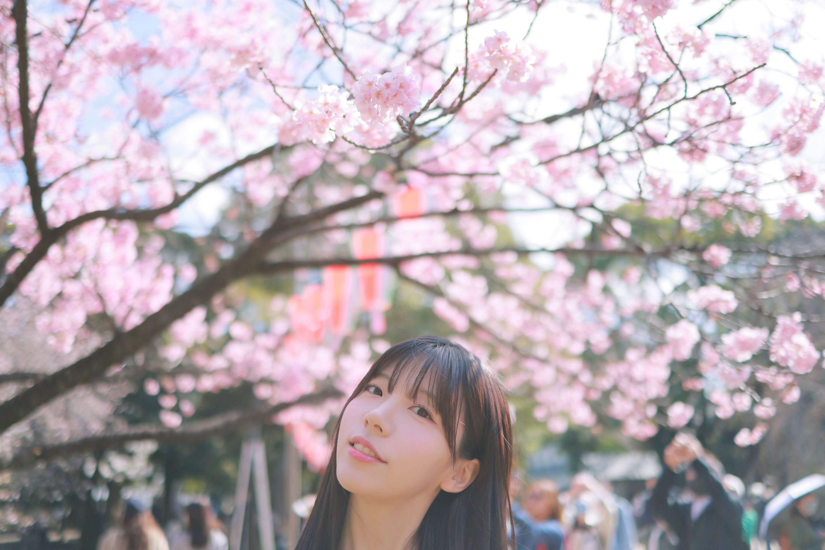[PATREON] Sovely - Sakura Vol.3