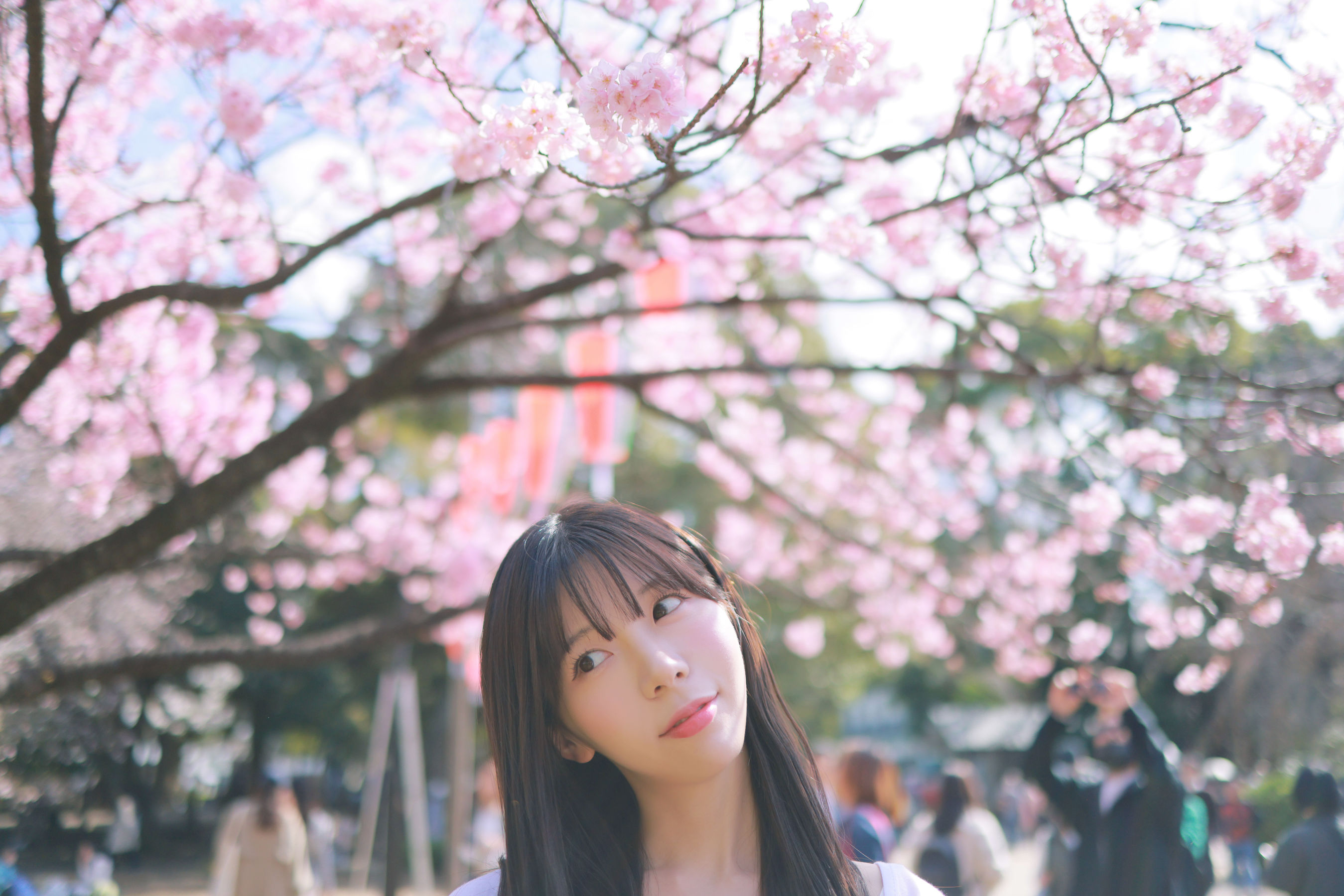 [PATREON] Sovely - Sakura Vol.3