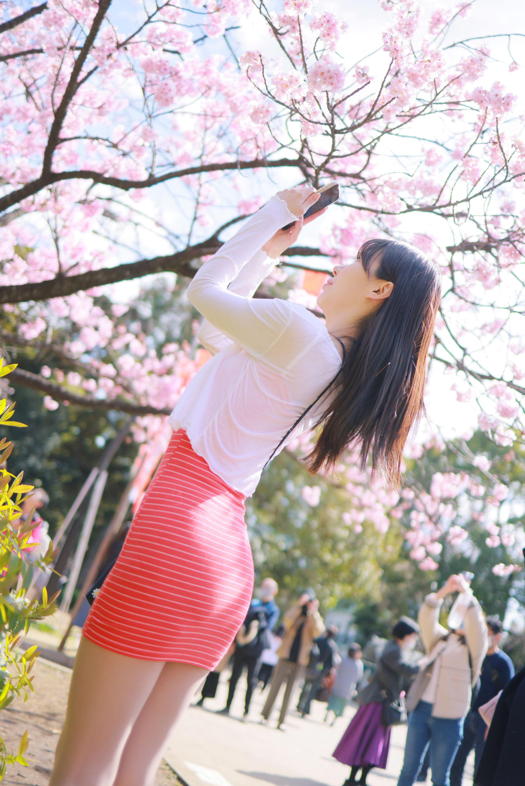 [PATREON] Sovely - Sakura Vol.3