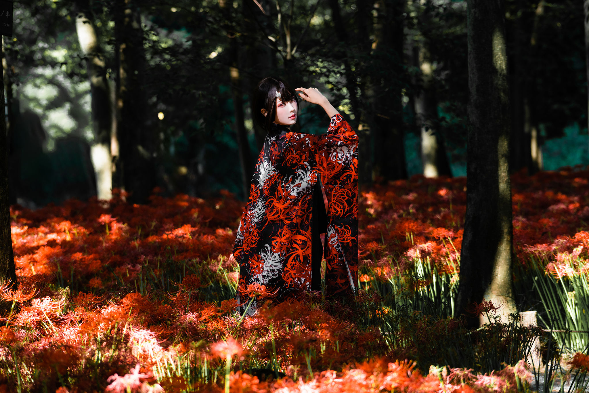 Ely_eee(ElyEE子) - Red Higanbana 殷紅彼岸