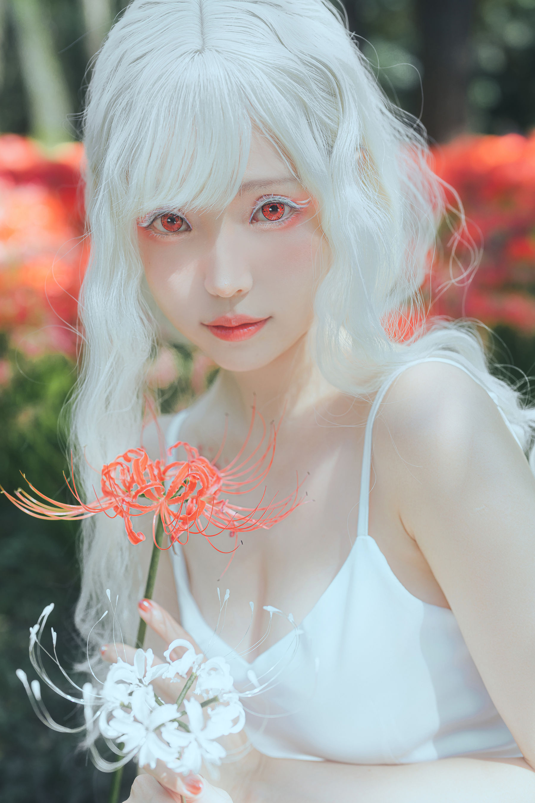 Ely_eee(ElyEE子) - White spider lily 白瓷彼岸