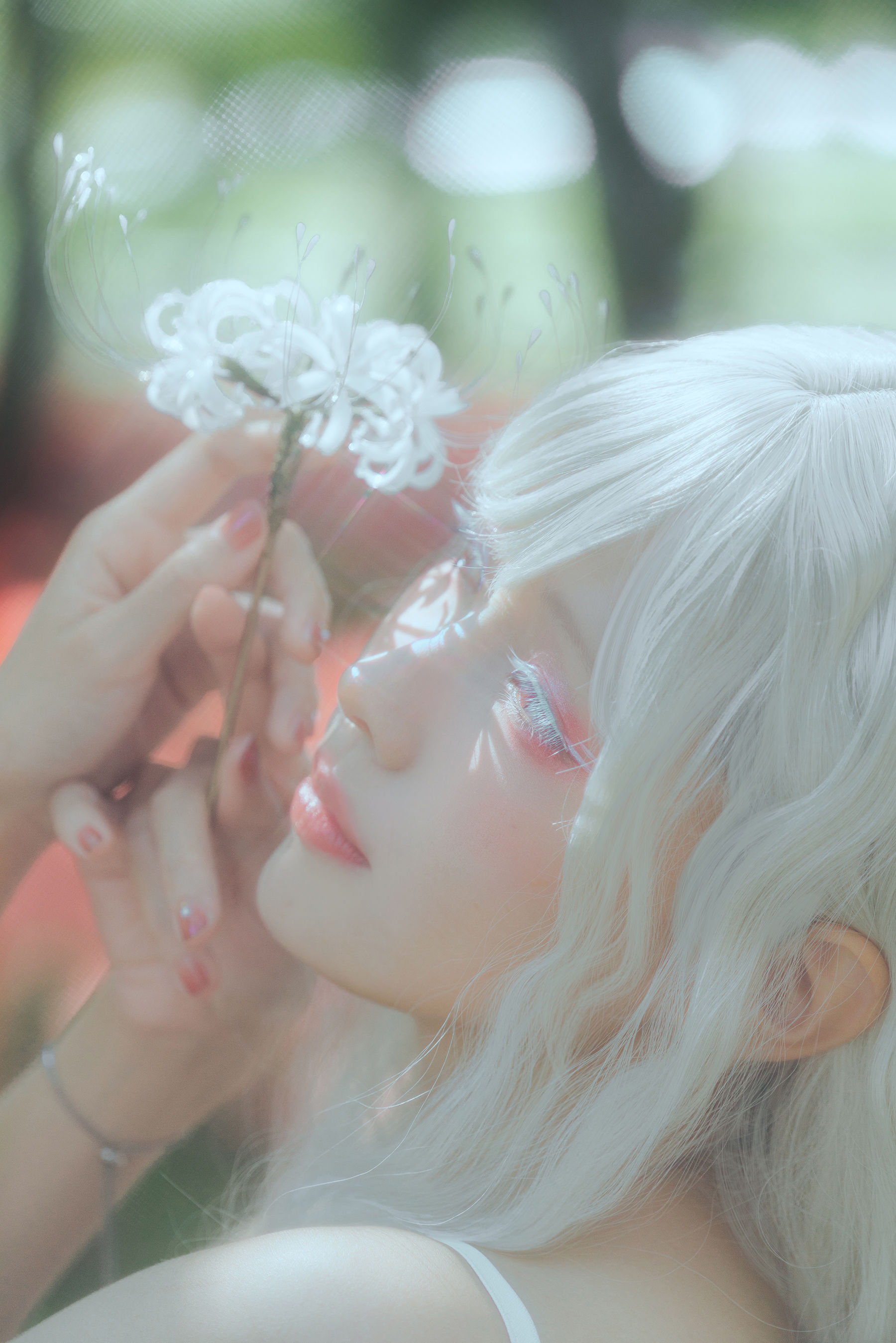 Ely_eee(ElyEE子) - White spider lily 白瓷彼岸