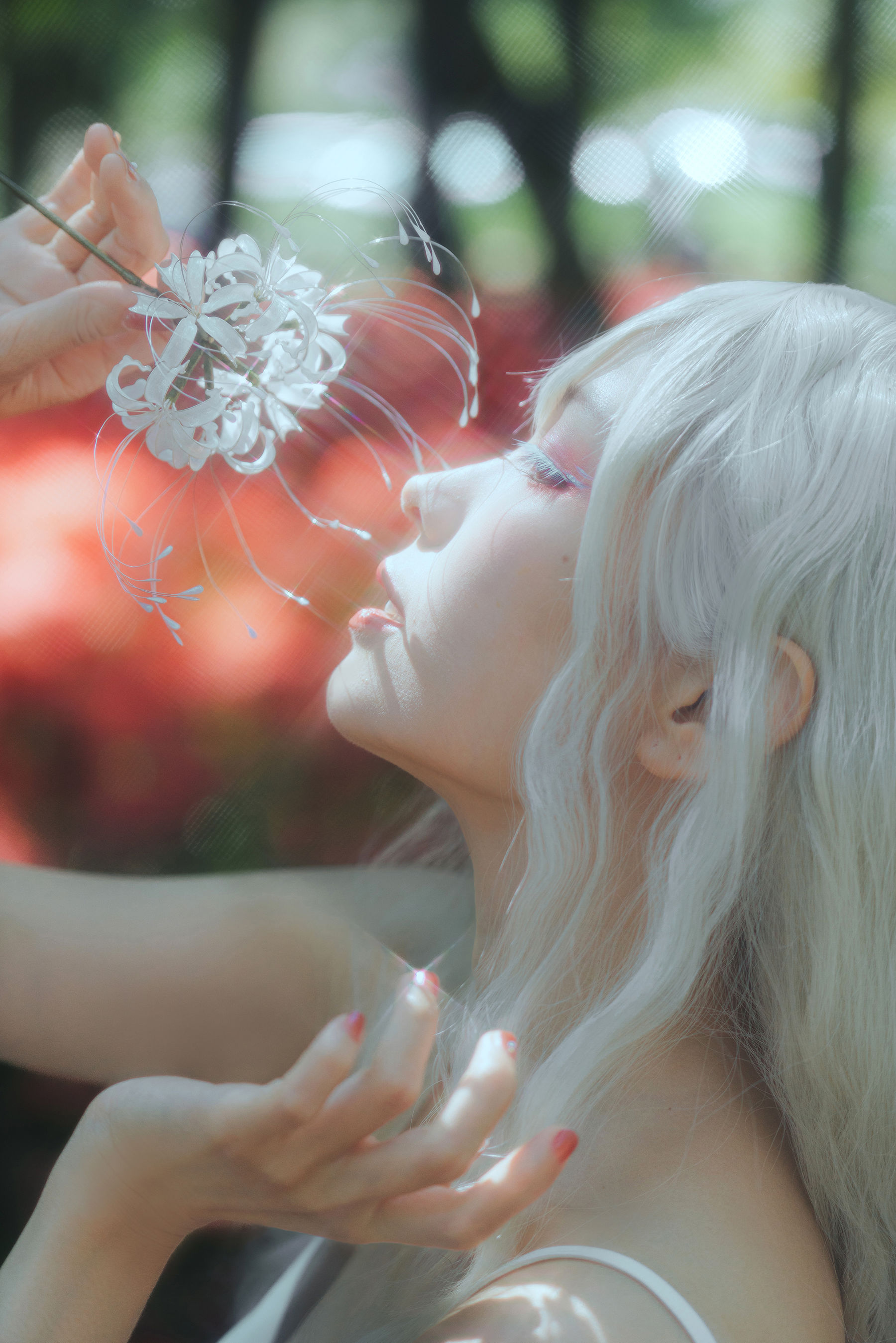 Ely_eee(ElyEE子) - White spider lily 白瓷彼岸