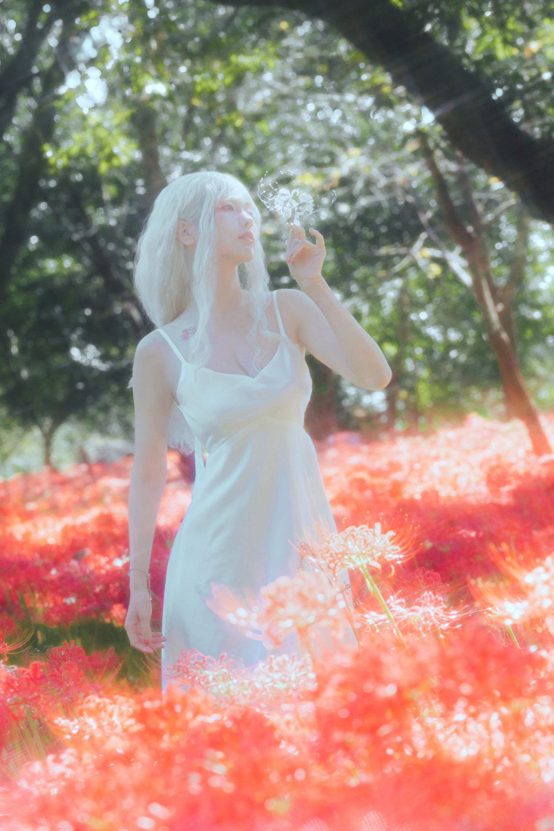 Ely_eee(ElyEE子) - White spider lily 白瓷彼岸