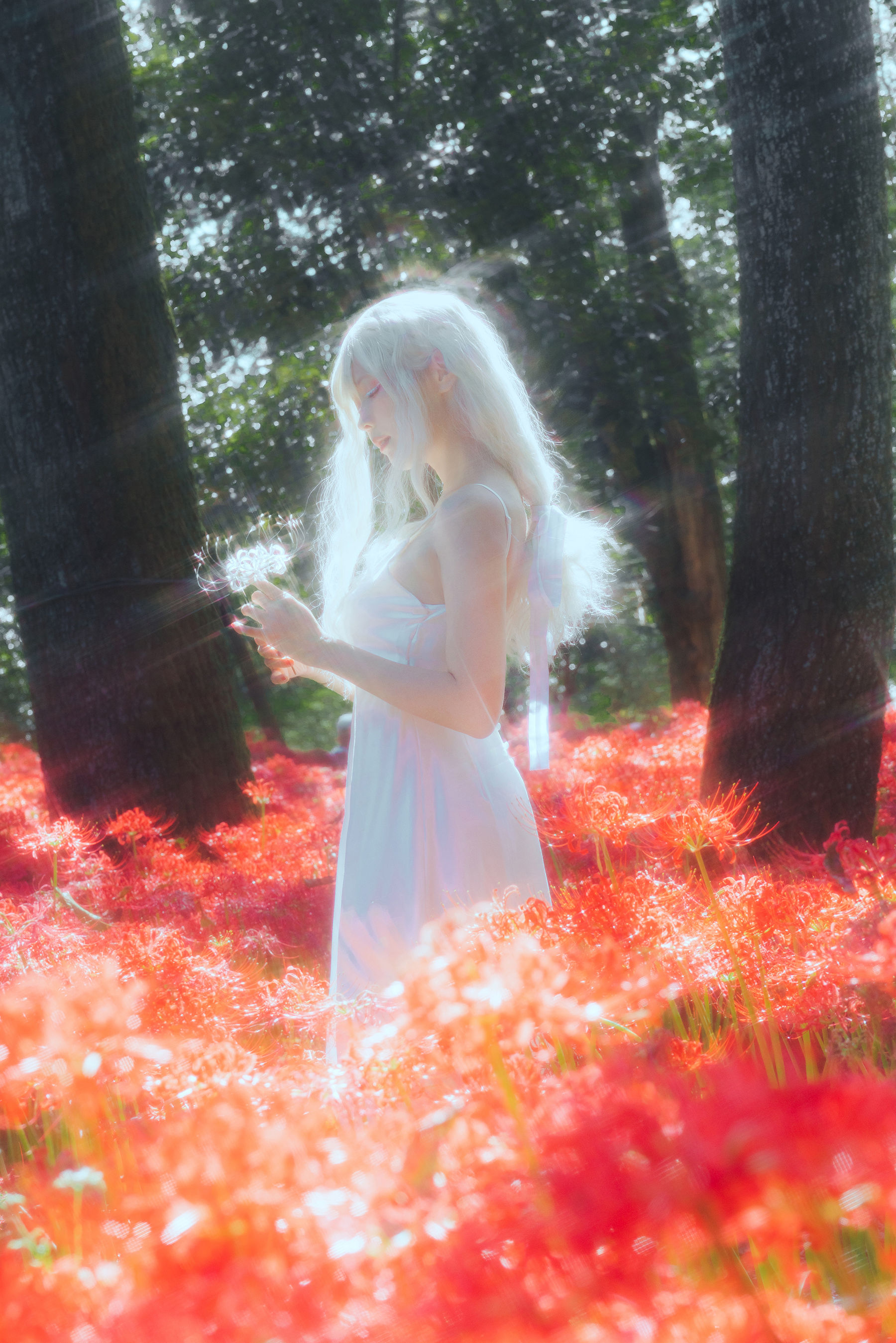 Ely_eee(ElyEE子) - White spider lily 白瓷彼岸