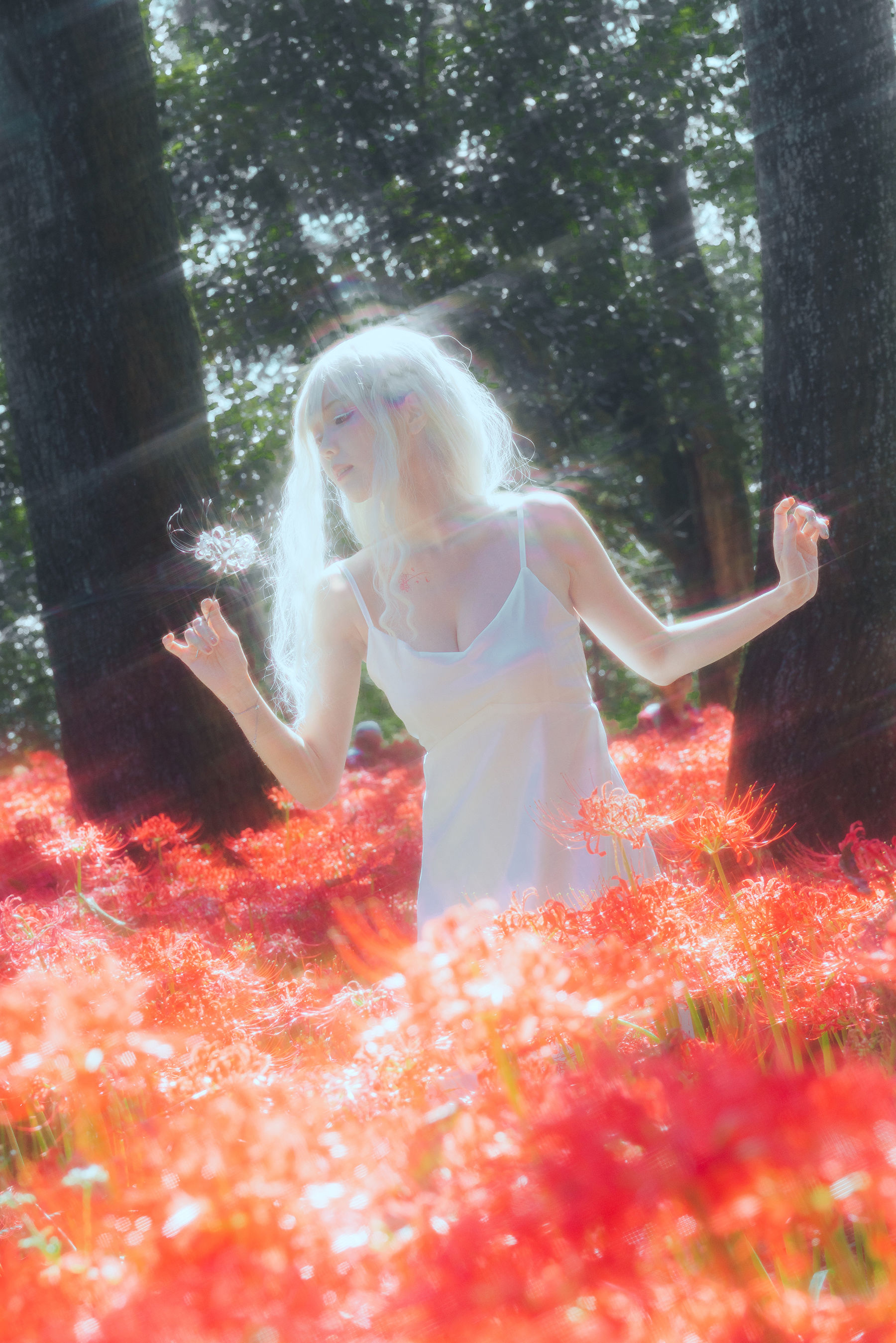 Ely_eee(ElyEE子) - White spider lily 白瓷彼岸