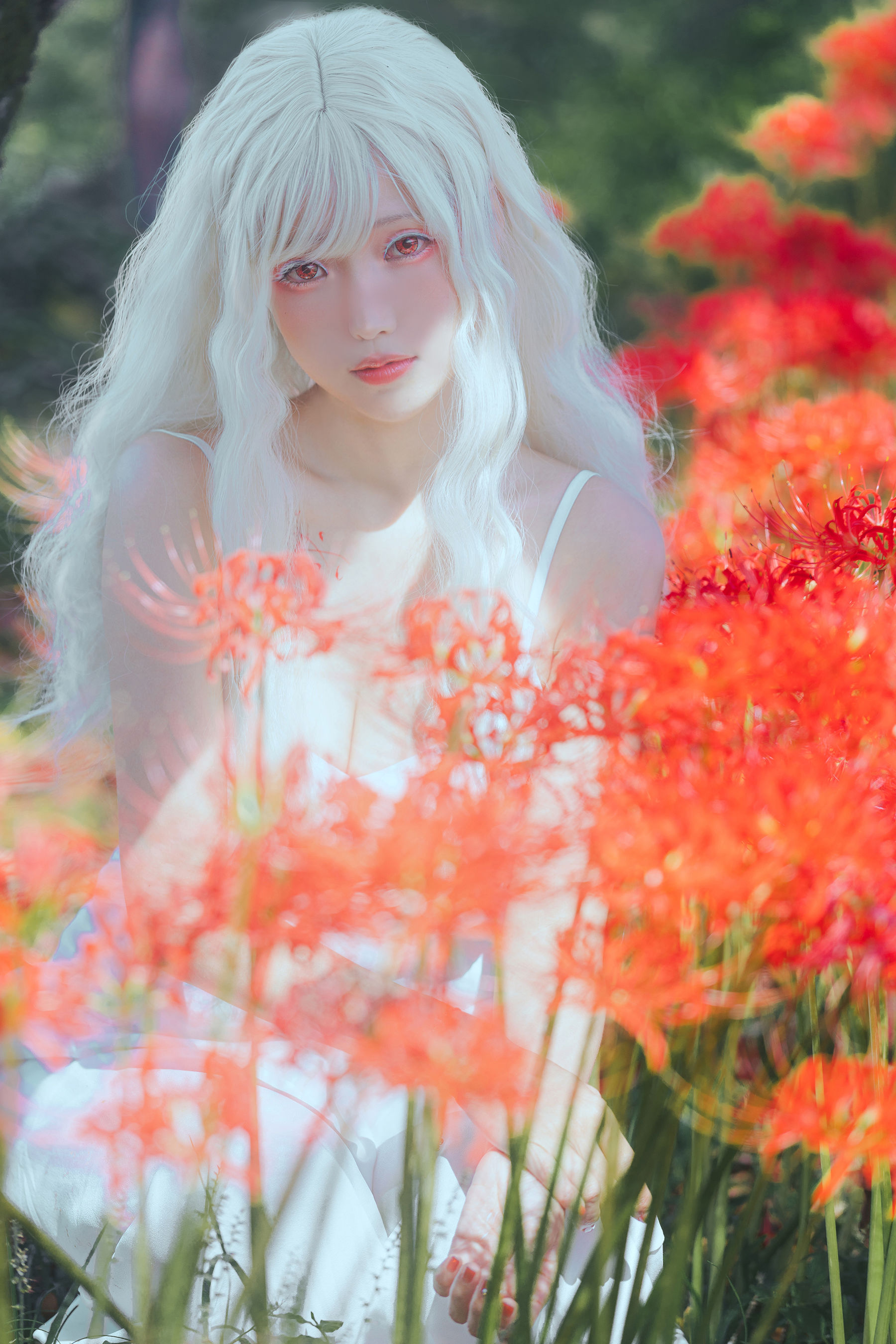 Ely_eee(ElyEE子) - White spider lily 白瓷彼岸