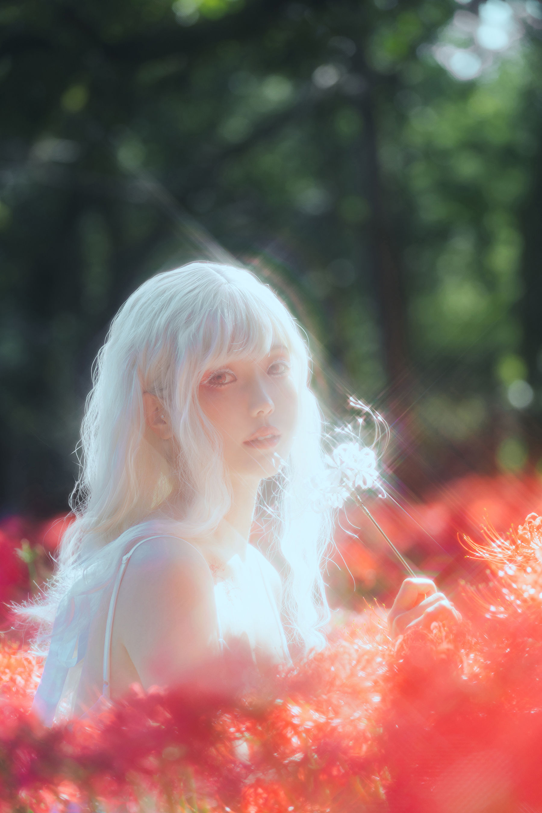 Ely_eee(ElyEE子) - White spider lily 白瓷彼岸