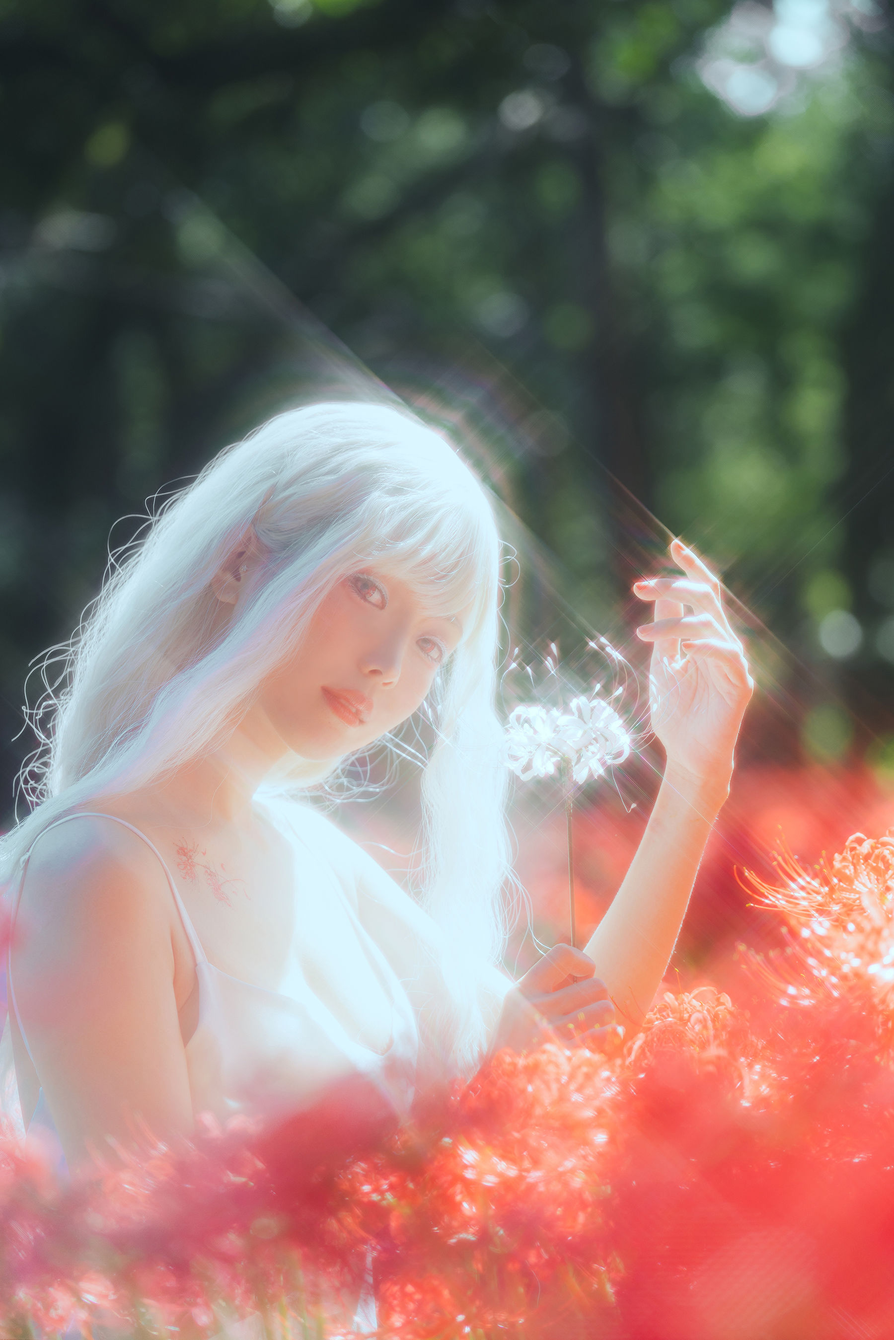 Ely_eee(ElyEE子) - White spider lily 白瓷彼岸