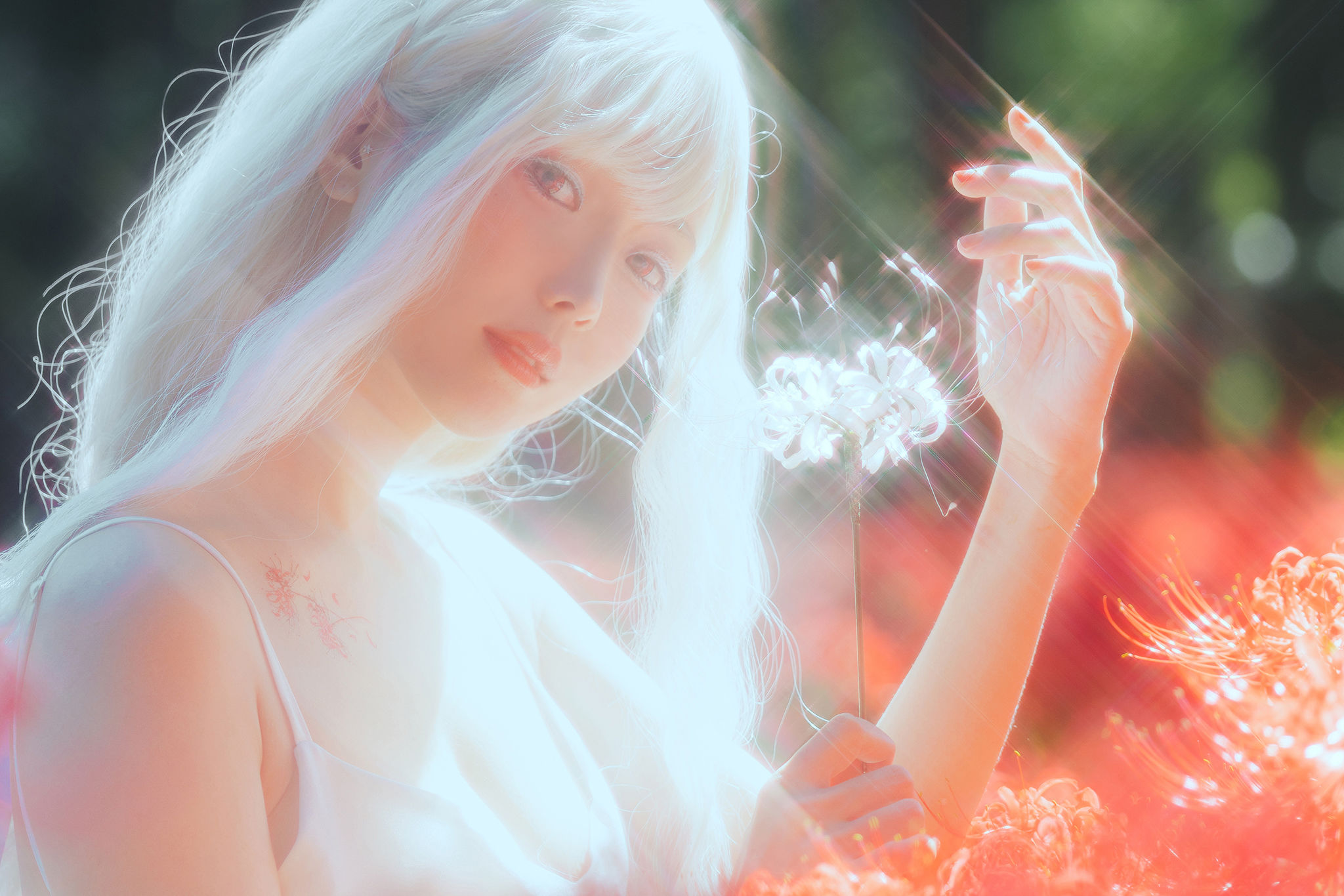 Ely_eee(ElyEE子) - White spider lily 白瓷彼岸