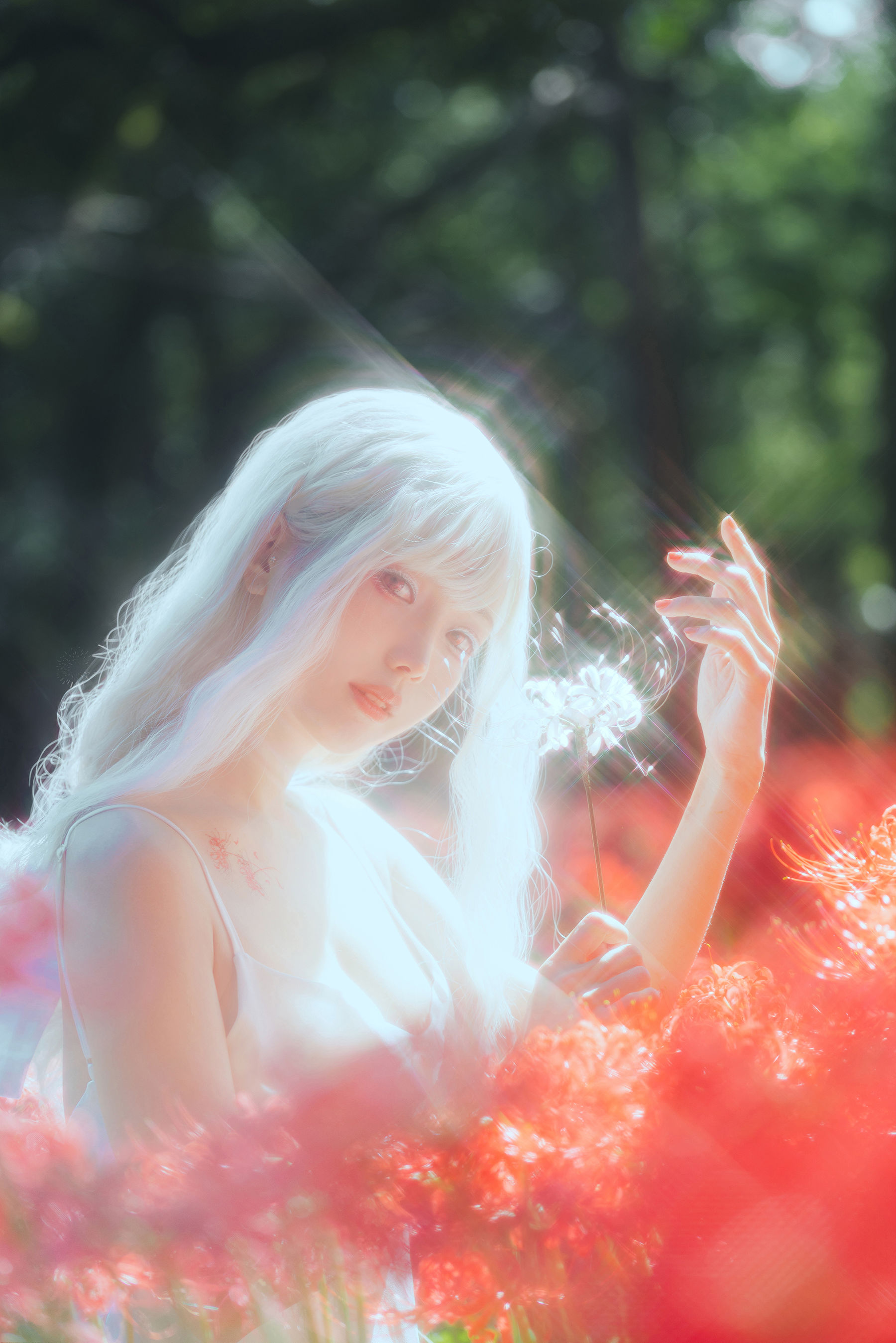 Ely_eee(ElyEE子) - White spider lily 白瓷彼岸