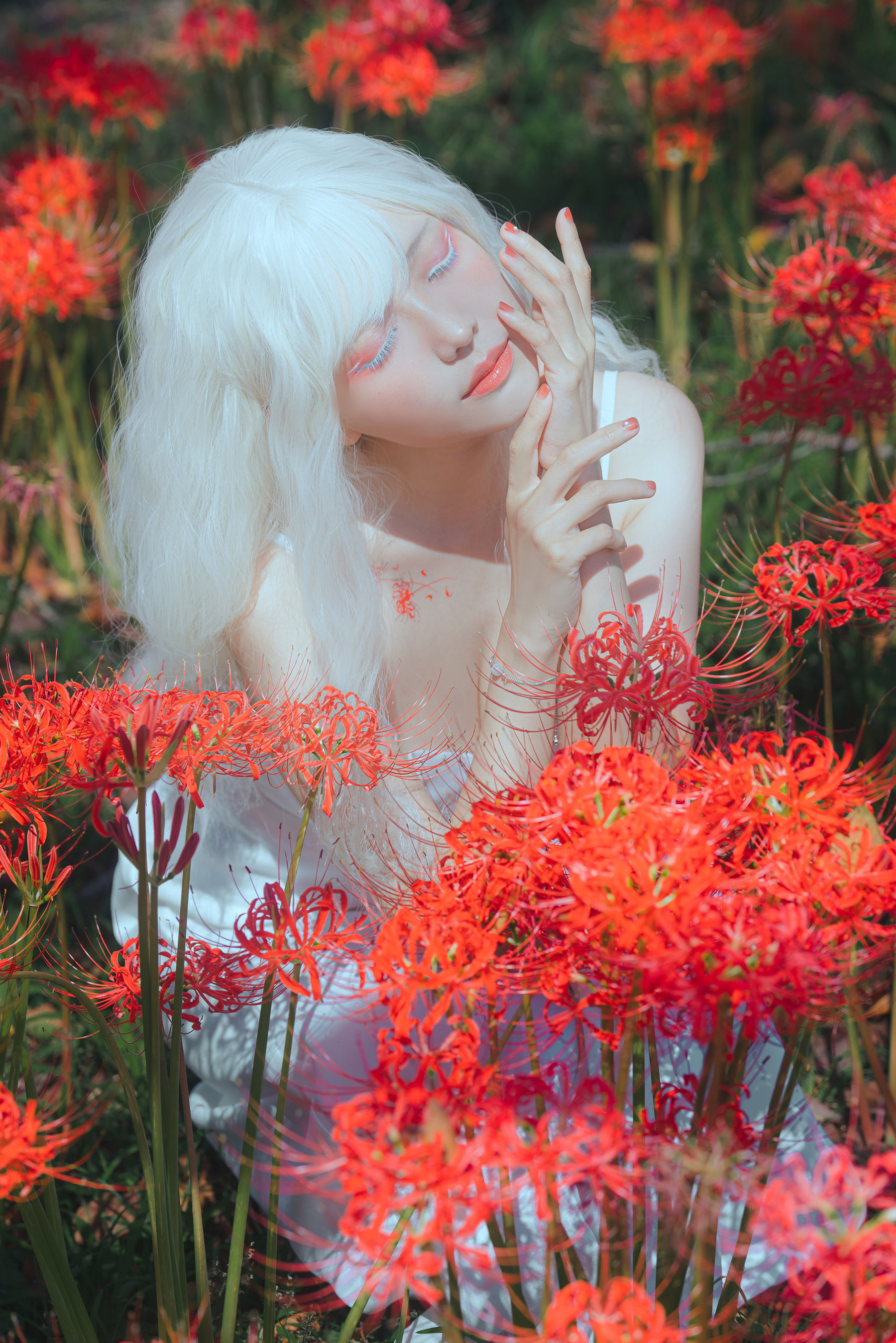Ely_eee(ElyEE子) - White spider lily 白瓷彼岸