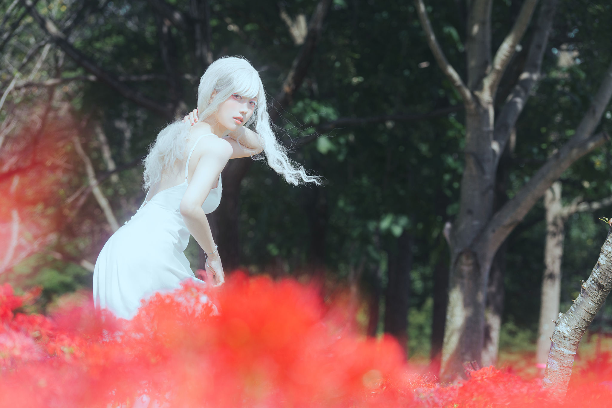 Ely_eee(ElyEE子) - White spider lily 白瓷彼岸