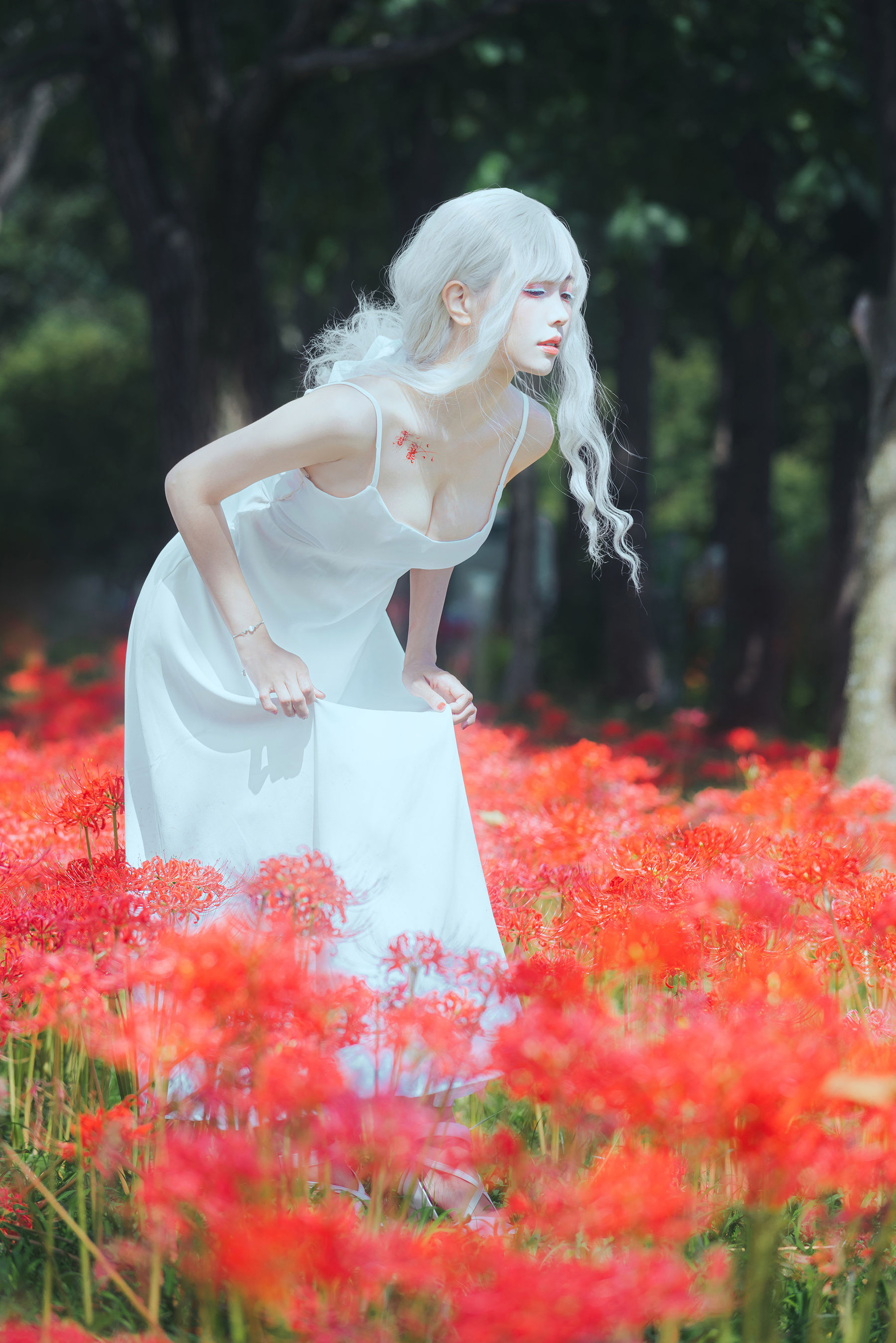 Ely_eee(ElyEE子) - White spider lily 白瓷彼岸