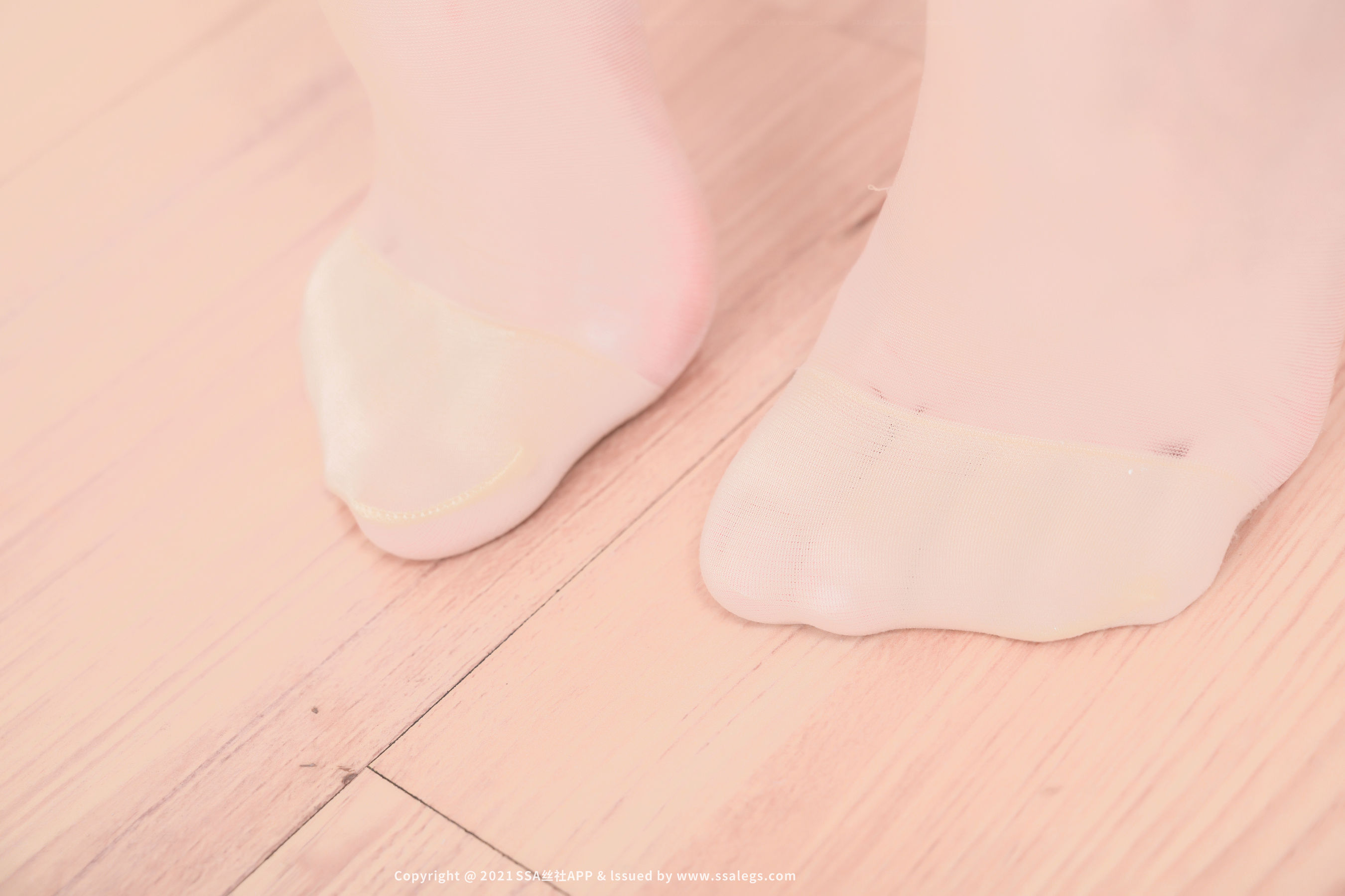 [SSA丝社]超清写真 No.799 模特 琦琦 的浪莎丝袜玉足写真（下）