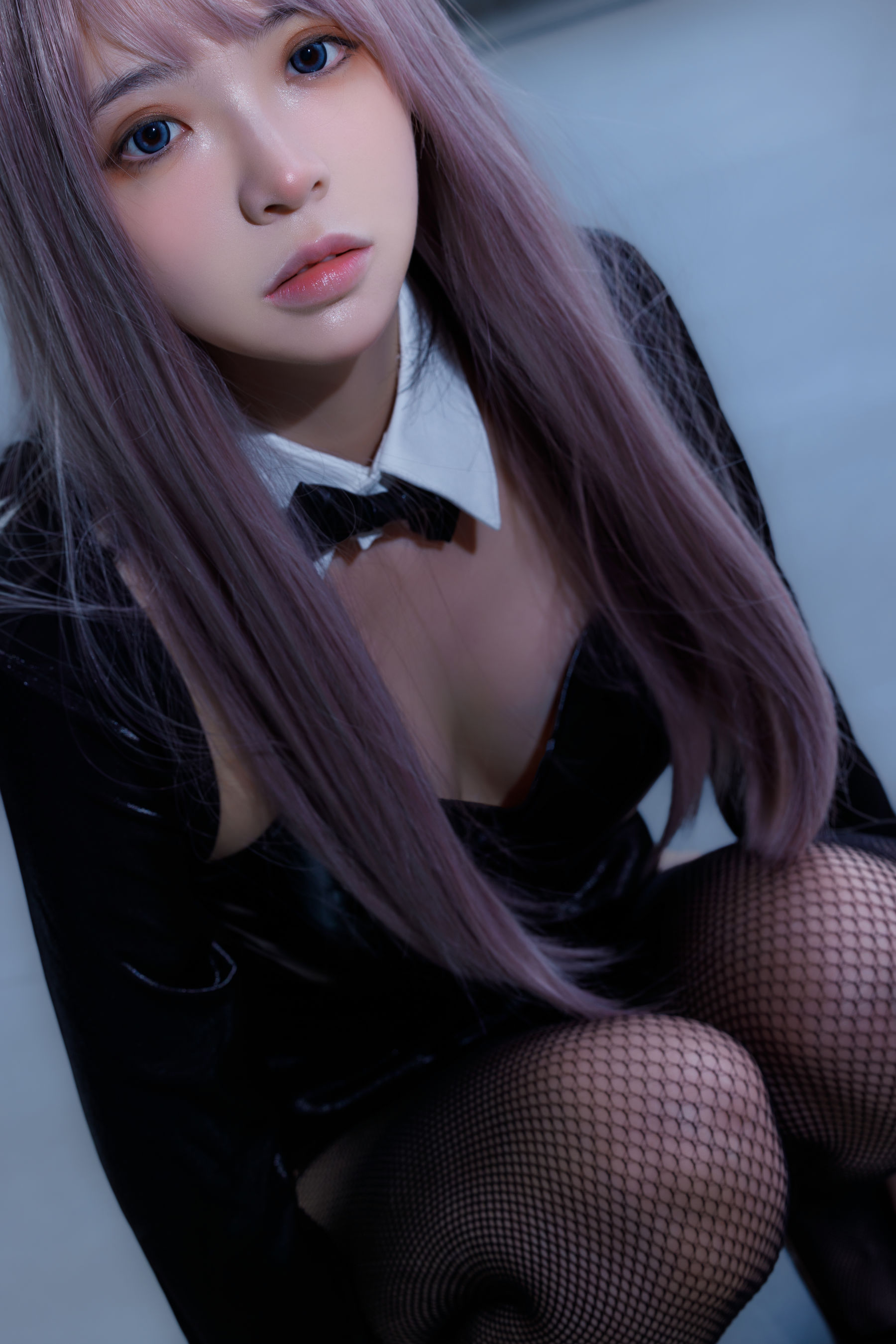 疯猫ss - 紫发礼服兔