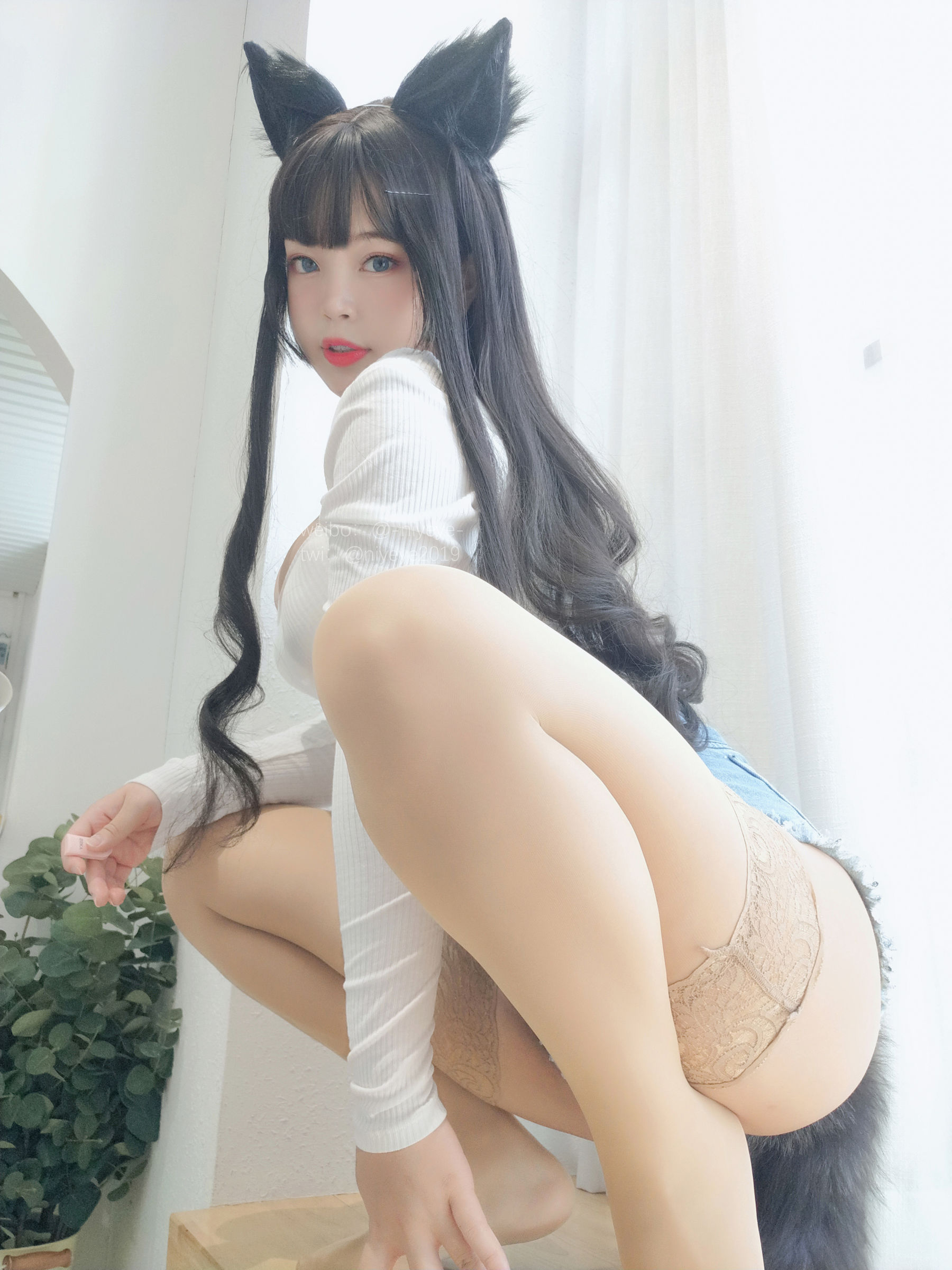 萌系小姐姐 -白烨- - 犬系姐姐