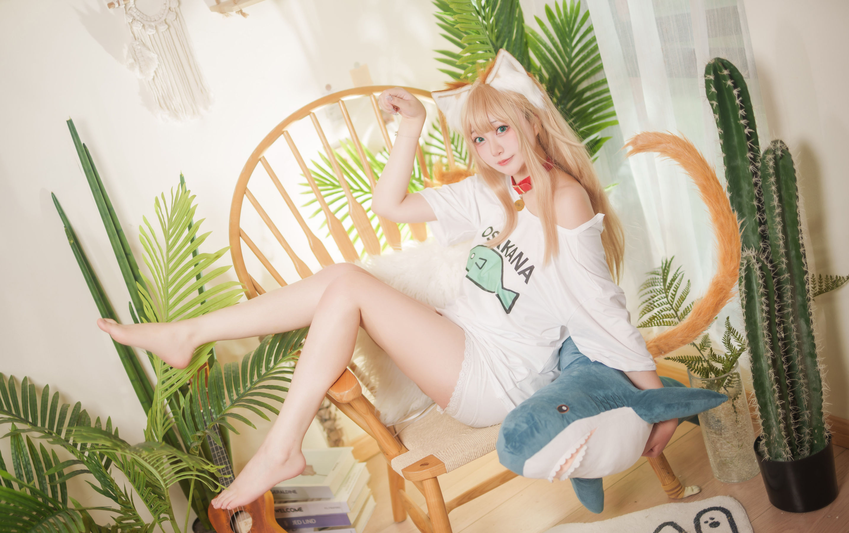 Halo_酱 - 黄豆粉