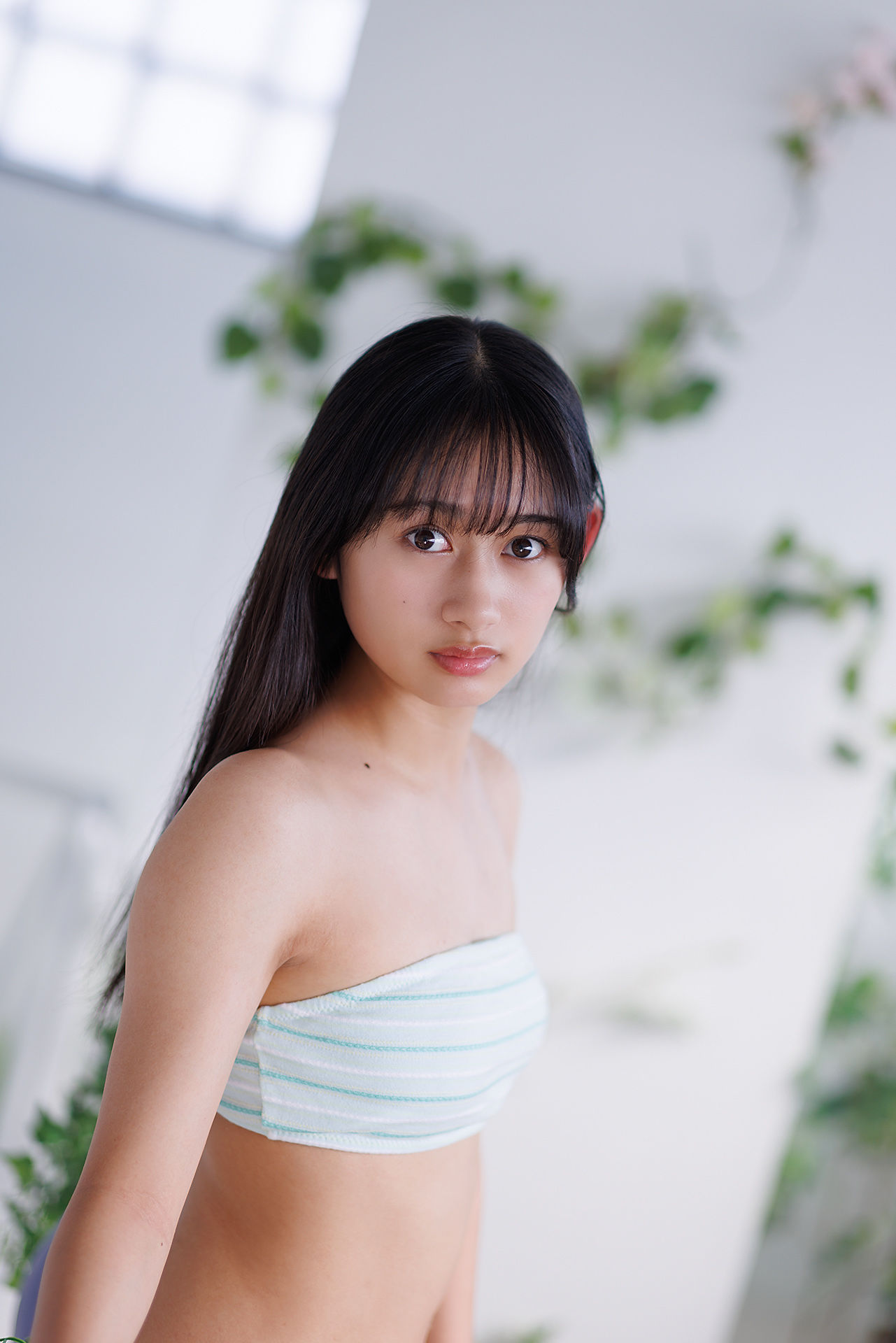 [Minisuka.tv] Seia Fujii 藤井星愛 - Regular Gallery 5 Set 5.3