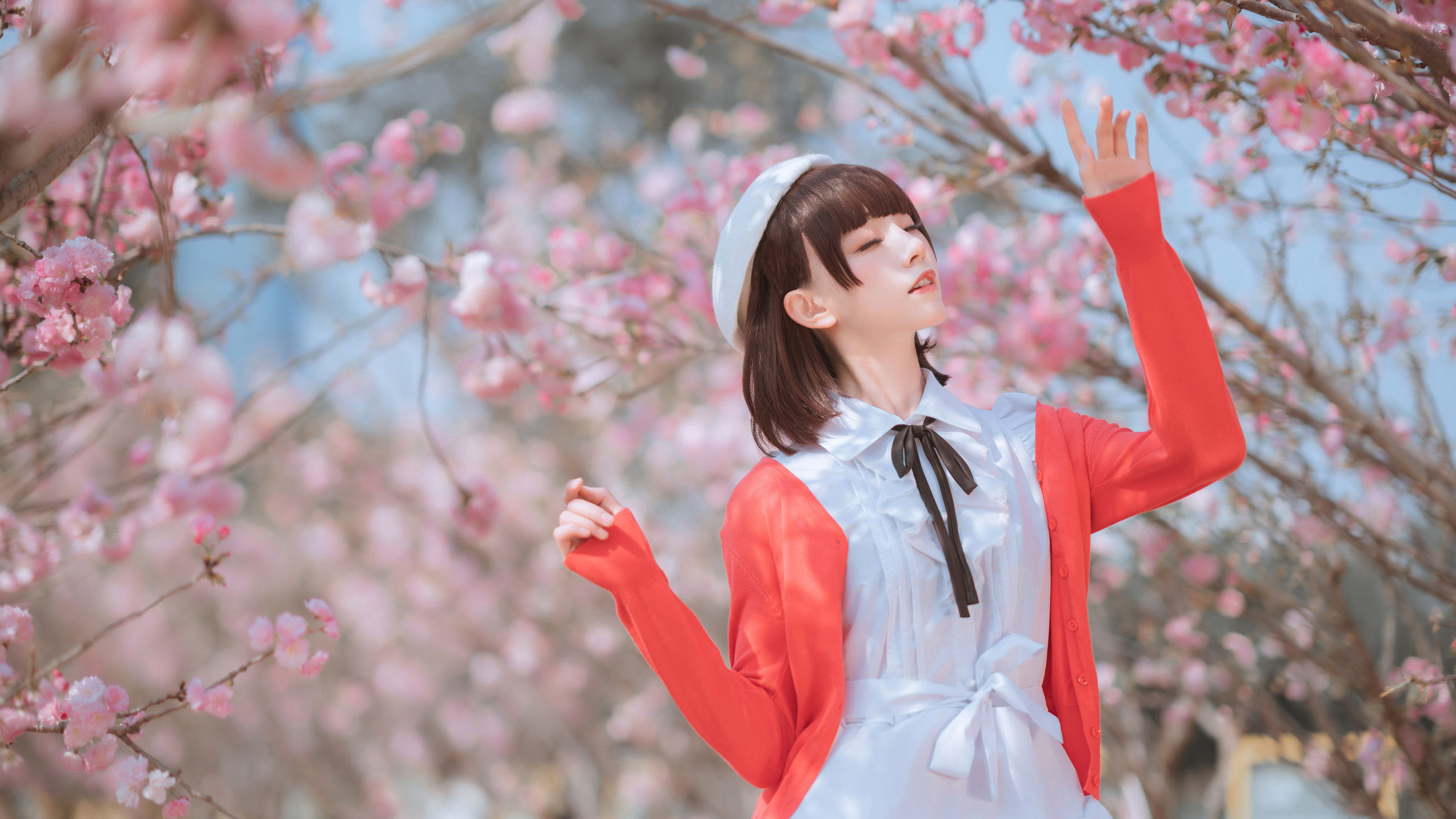 动漫博主Kitaro_绮太郎 - 慧慧
