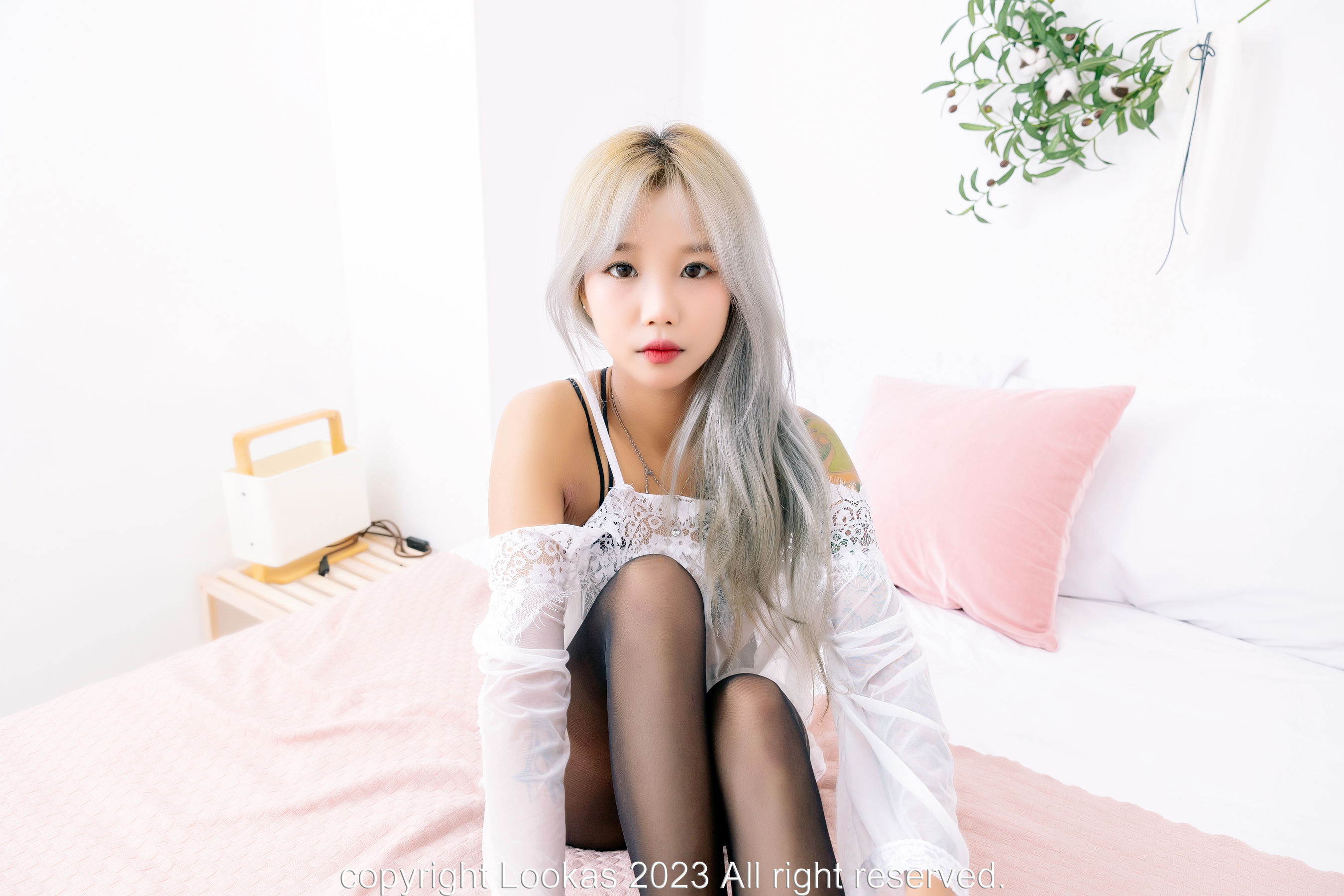 [Lookas] CIA - Vol.02 Stocking
