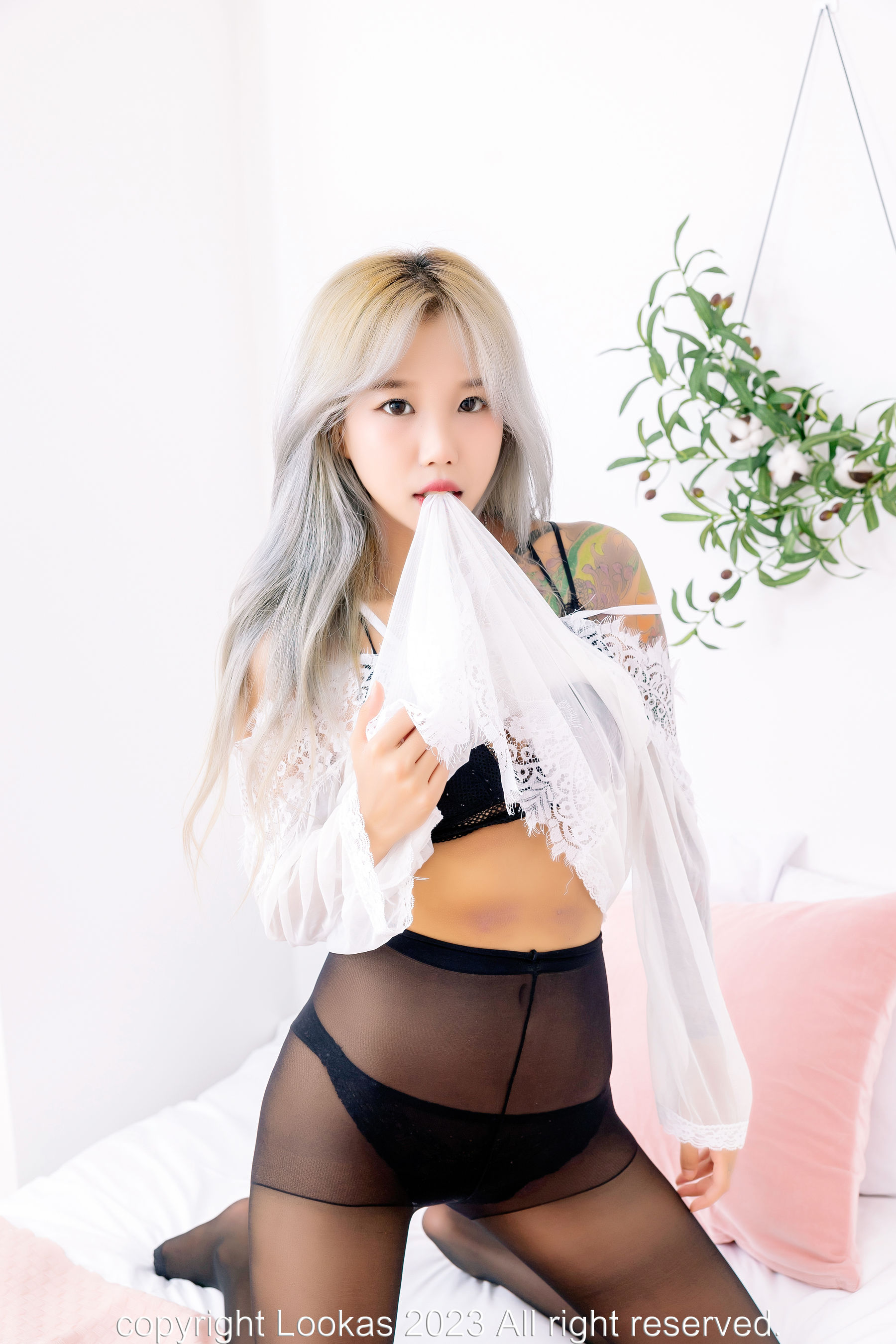 [Lookas] CIA - Vol.02 Stocking