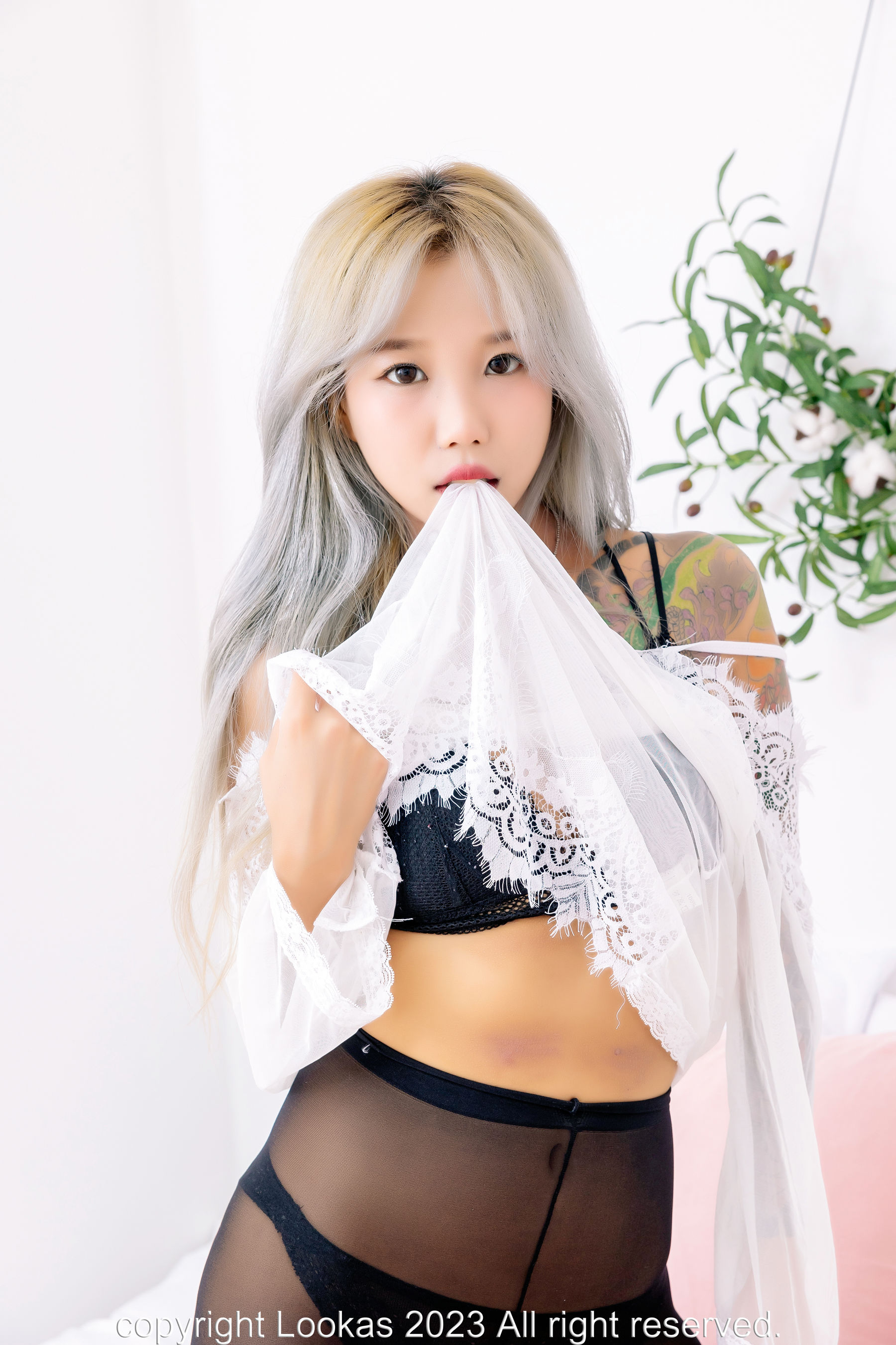 [Lookas] CIA - Vol.02 Stocking