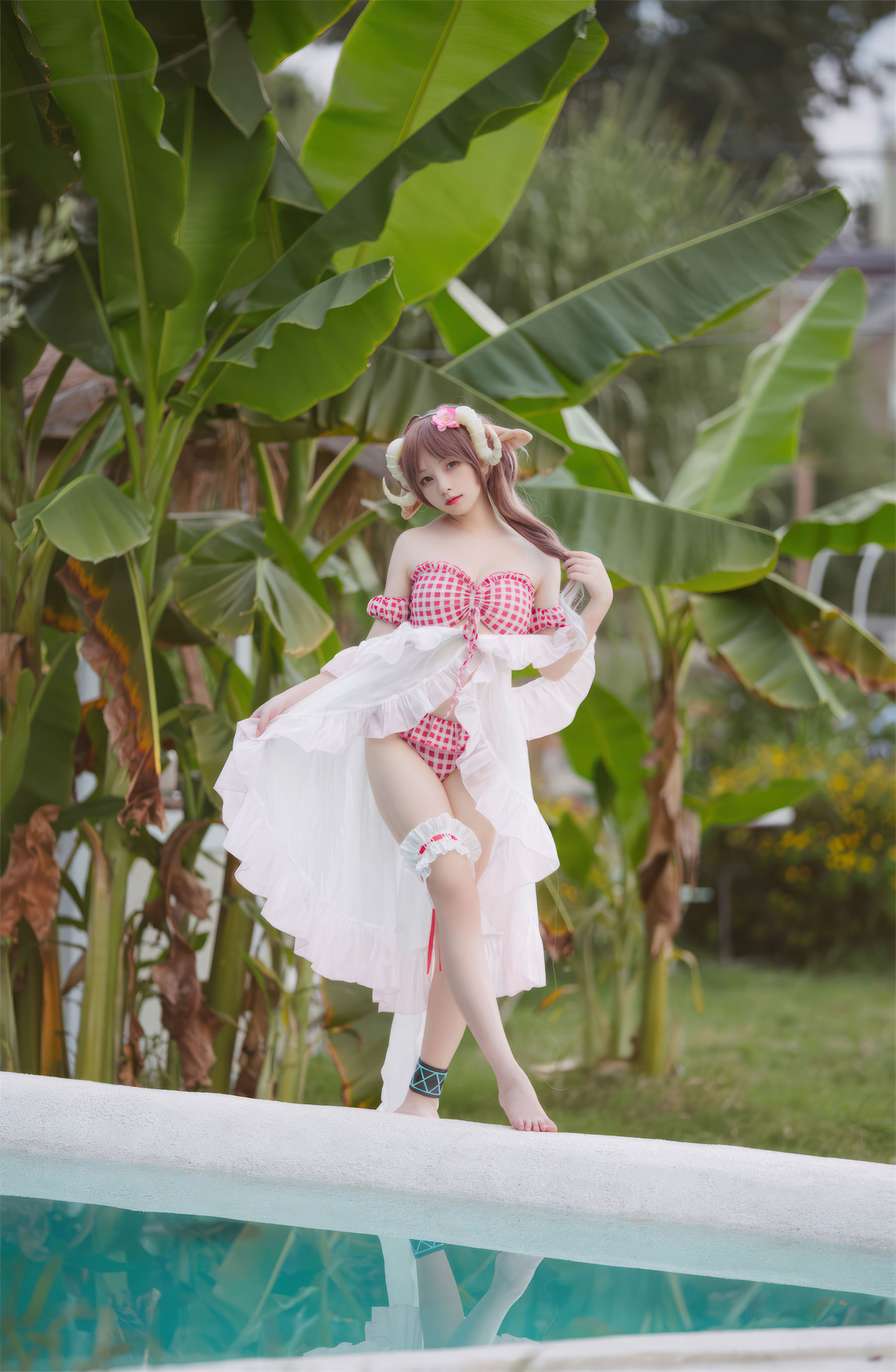 花铃 - 小羊夏卉