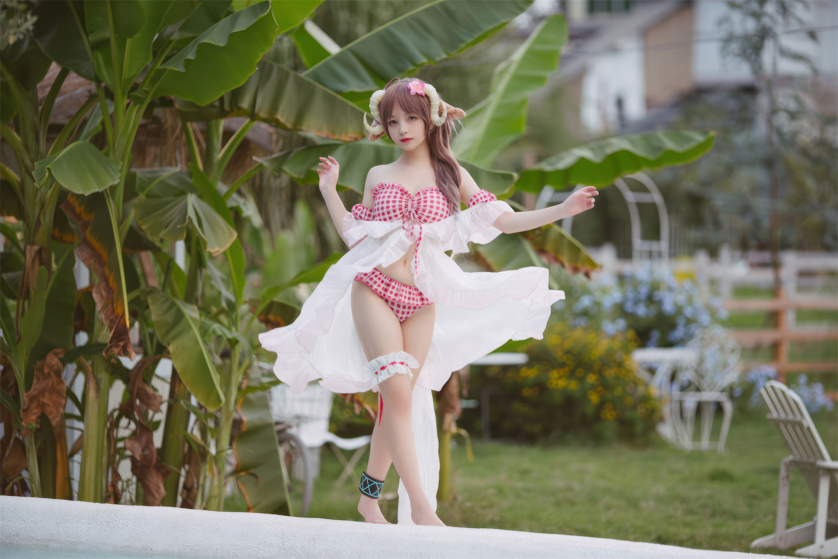 花铃 - 小羊夏卉