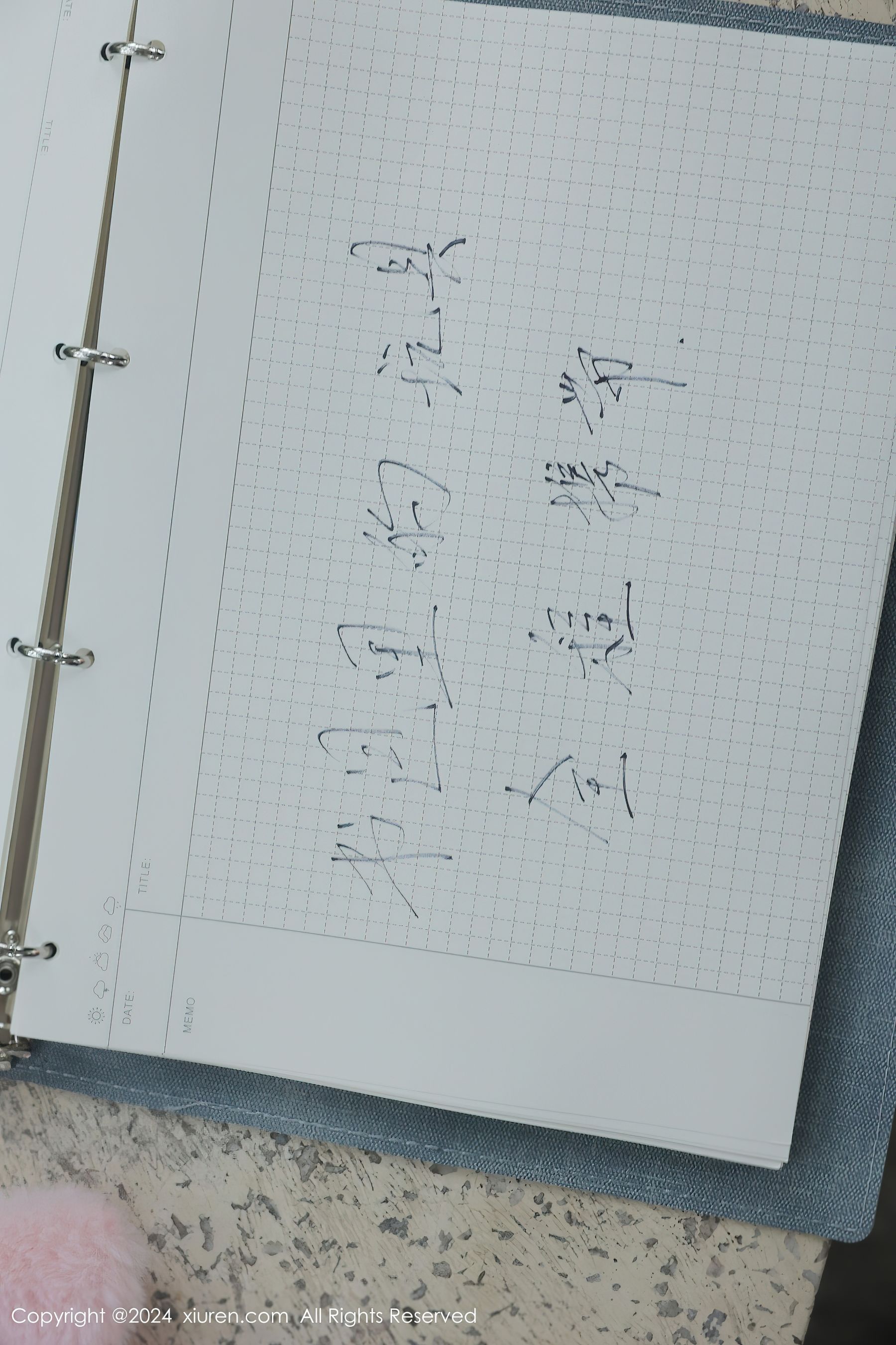 [秀人XiuRen] 2024.04.02 No.8335 小薯条nienie