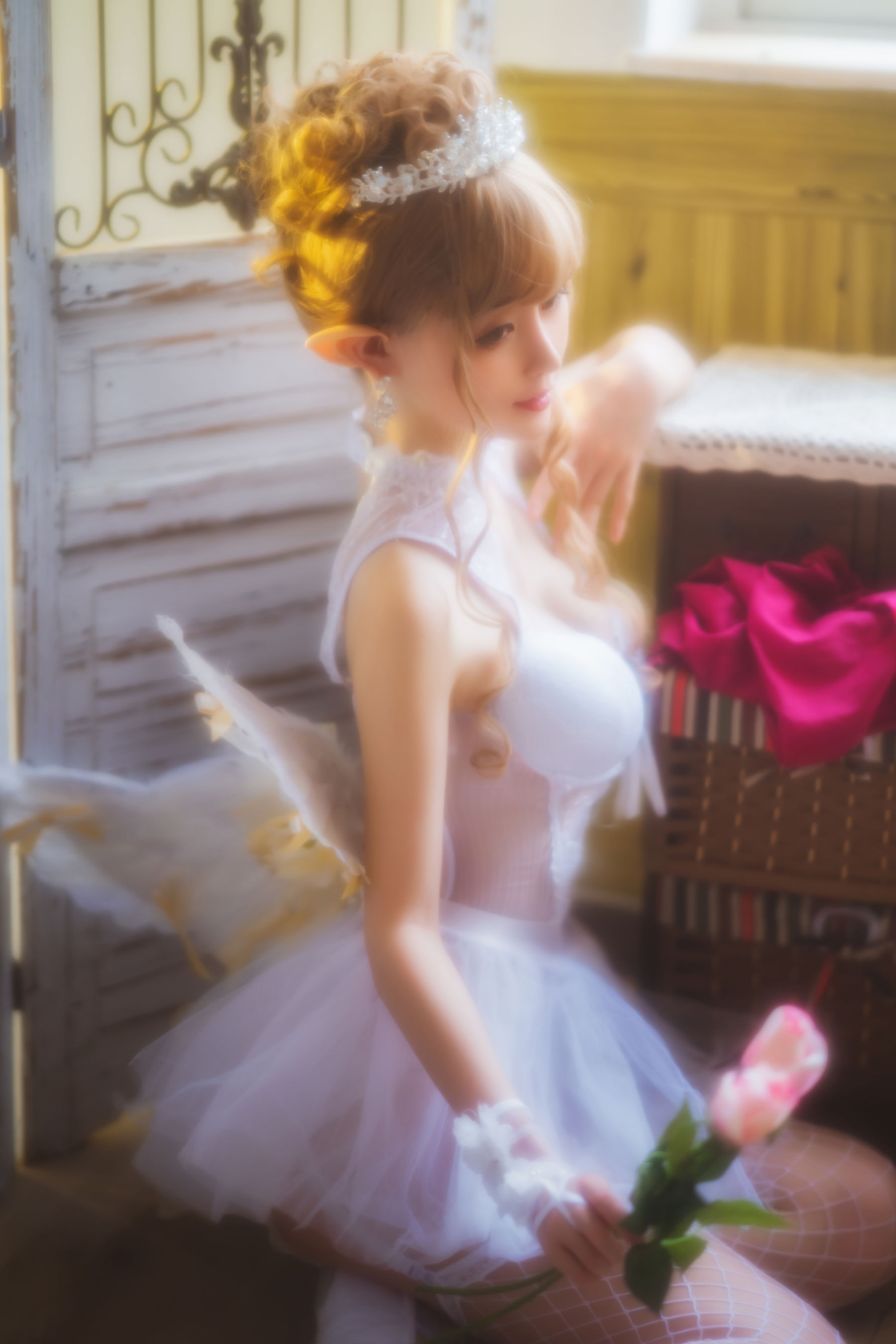 萌宠博主 yui金鱼 - 芭蕾主题夏日