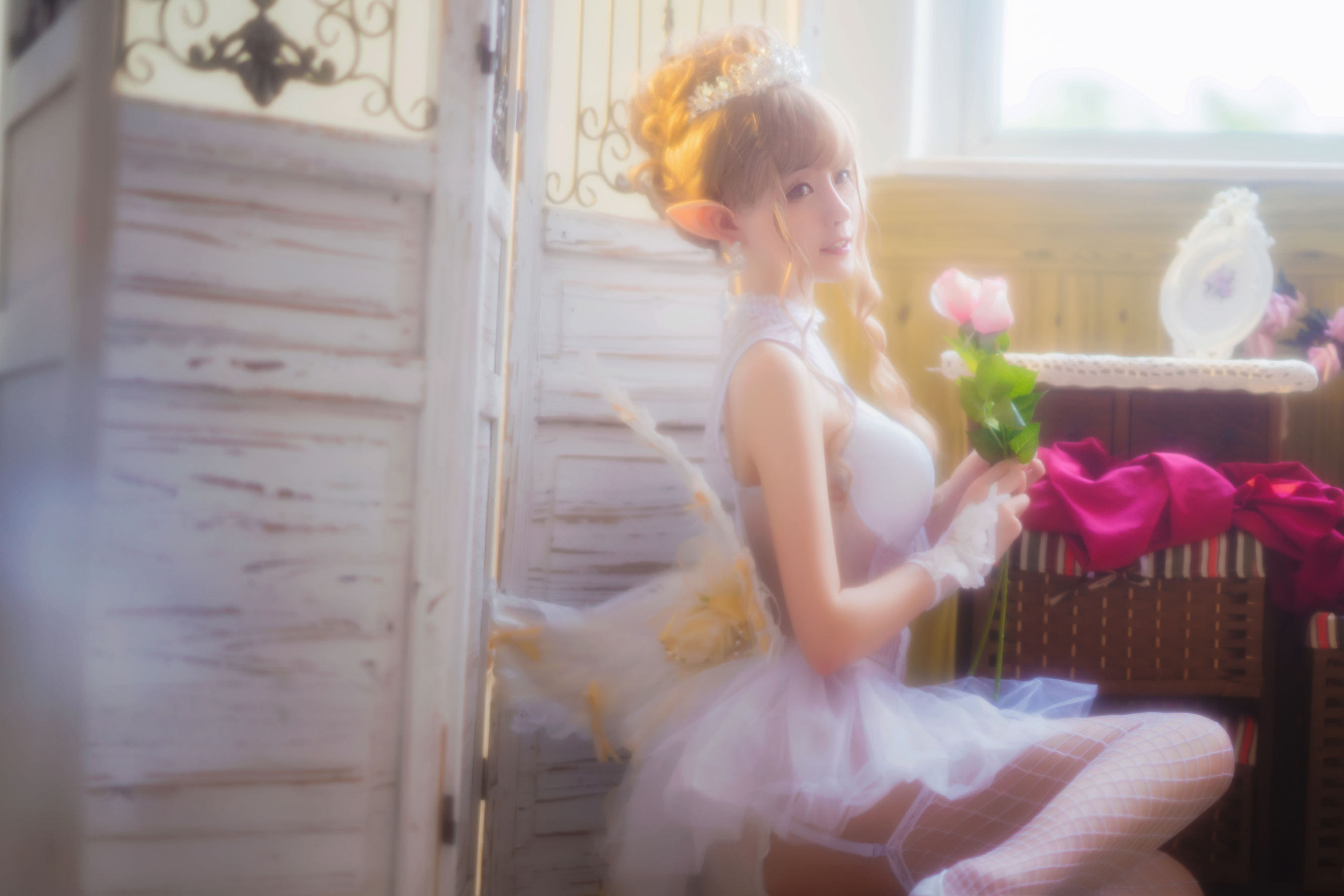 萌宠博主 yui金鱼 - 芭蕾主题夏日