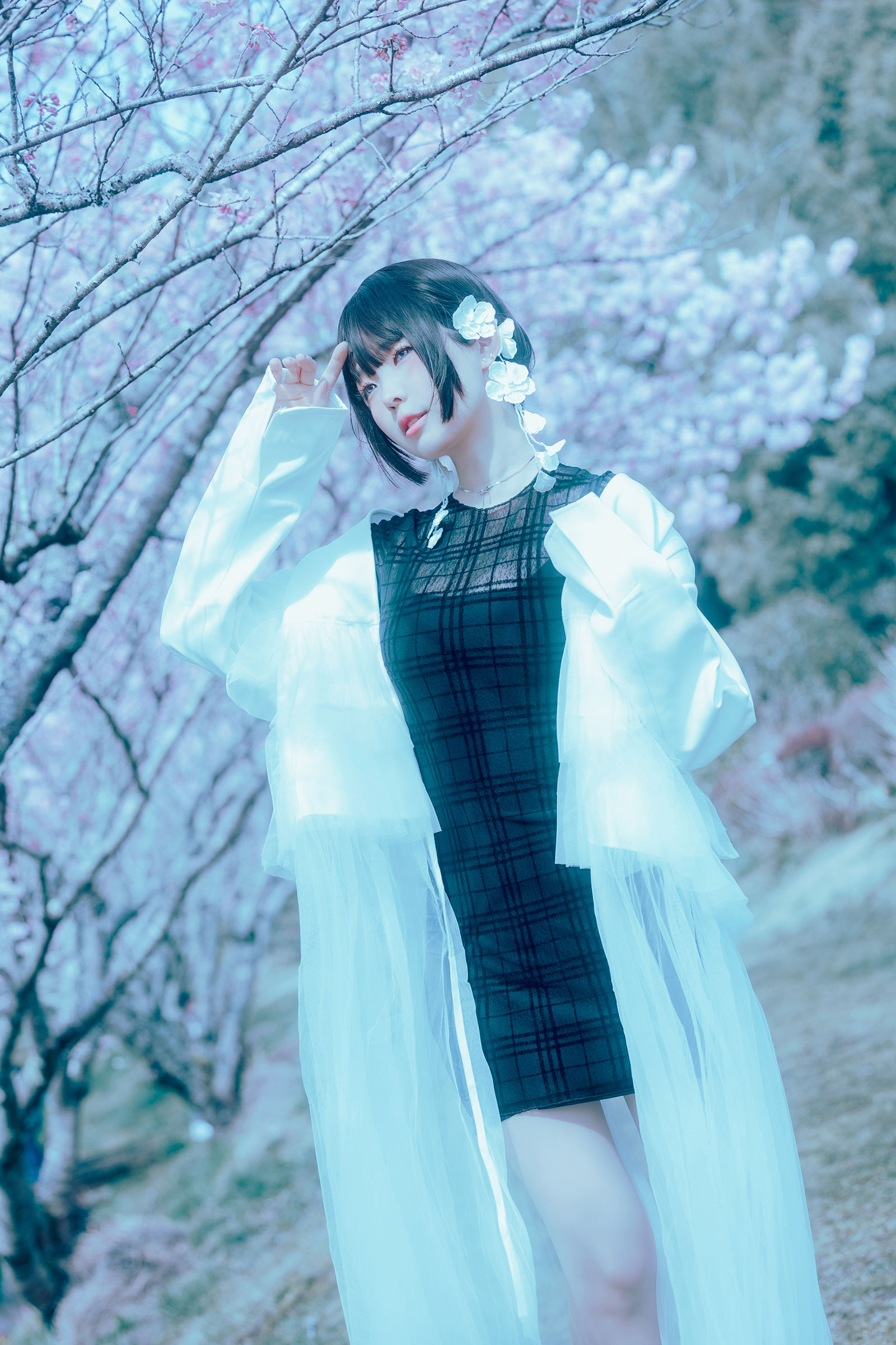 Ely_eee (ElyEE子) - 17°C Pink Sakura17°C粉櫻