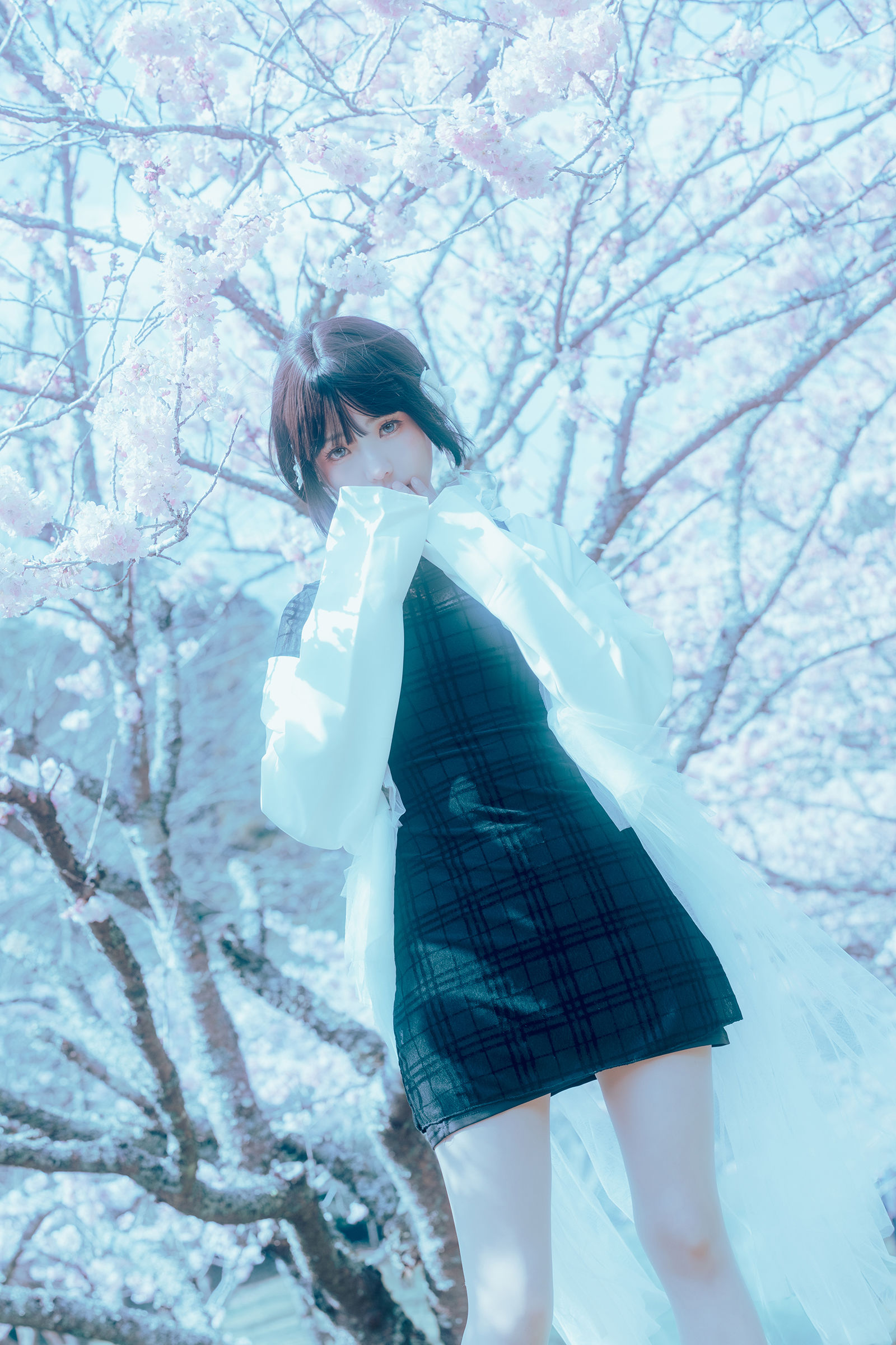 Ely_eee (ElyEE子) - 17°C Pink Sakura17°C粉櫻