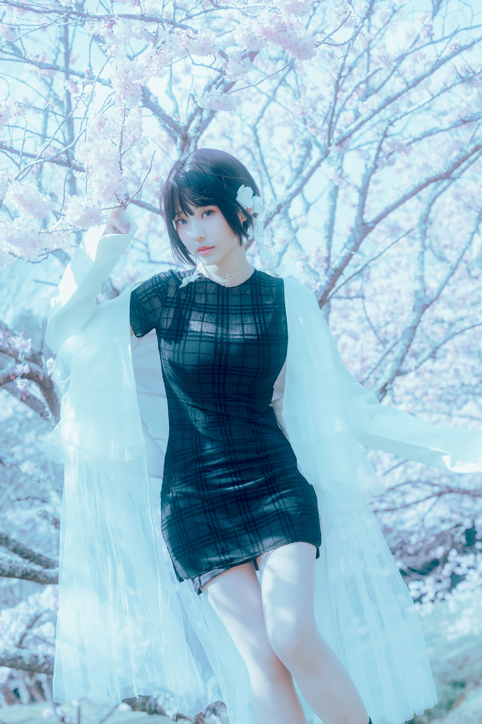 Ely_eee (ElyEE子) - 17°C Pink Sakura17°C粉櫻
