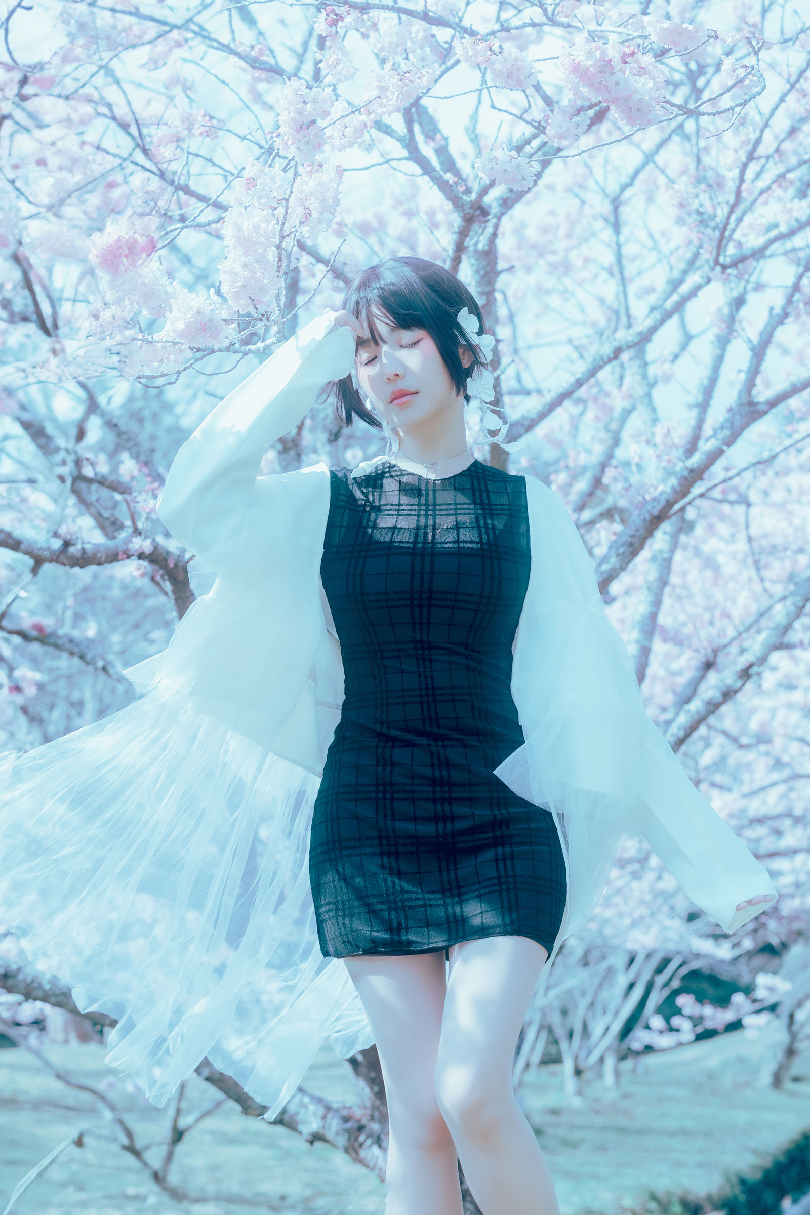 Ely_eee (ElyEE子) - 17°C Pink Sakura17°C粉櫻