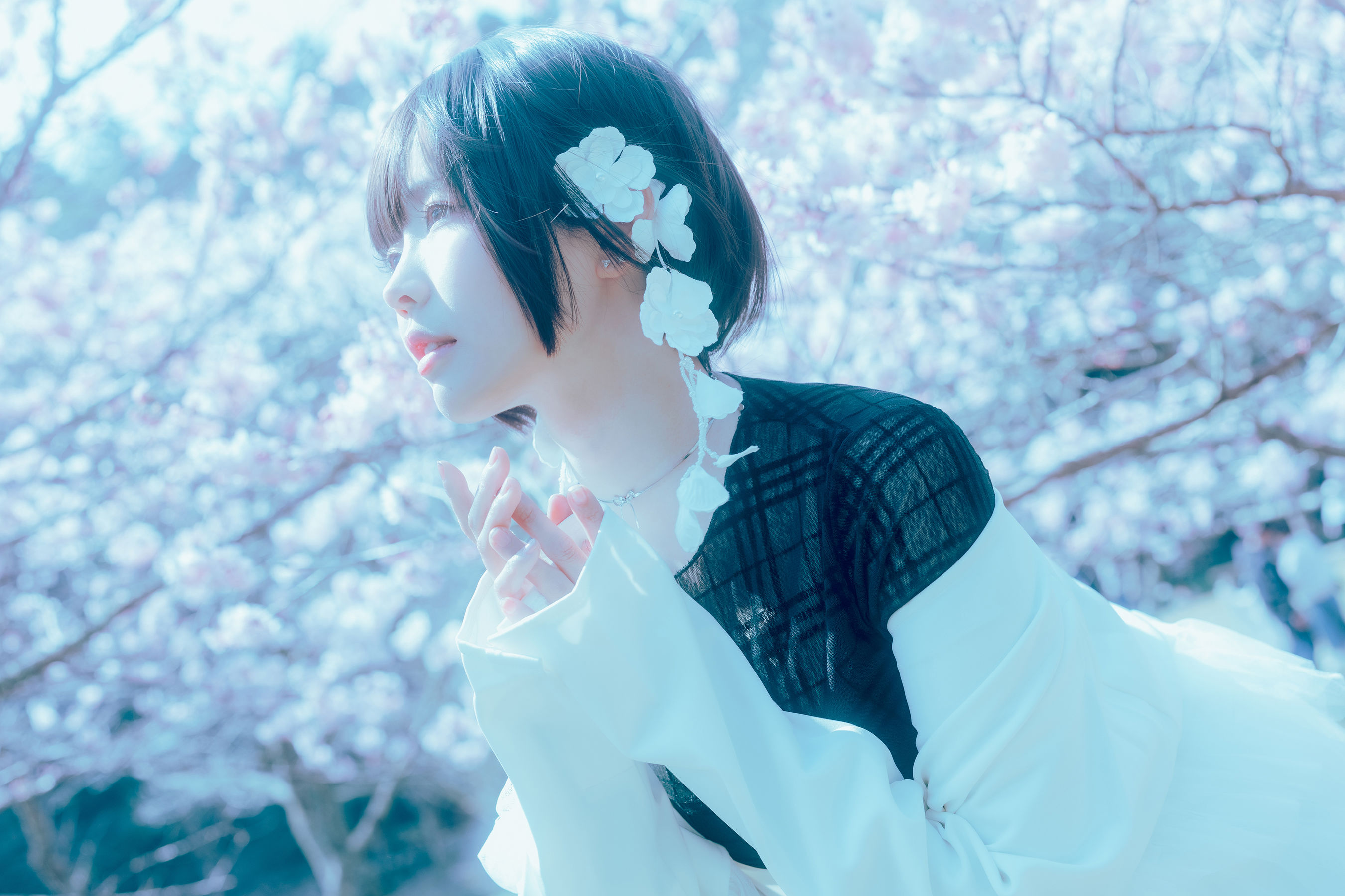Ely_eee (ElyEE子) - 17°C Pink Sakura17°C粉櫻