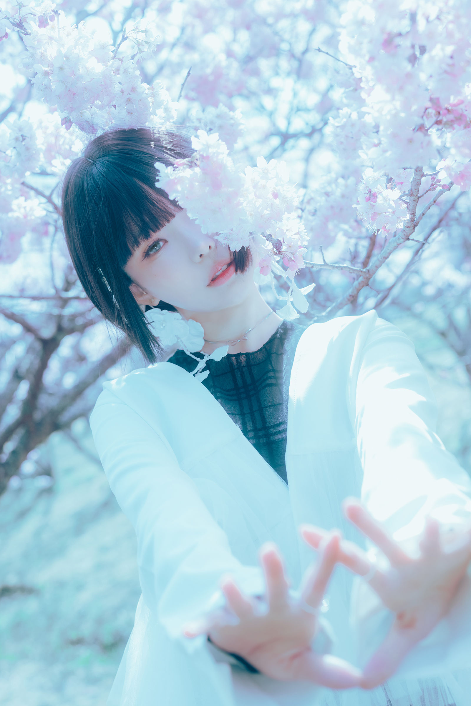 Ely_eee (ElyEE子) - 17°C Pink Sakura17°C粉櫻