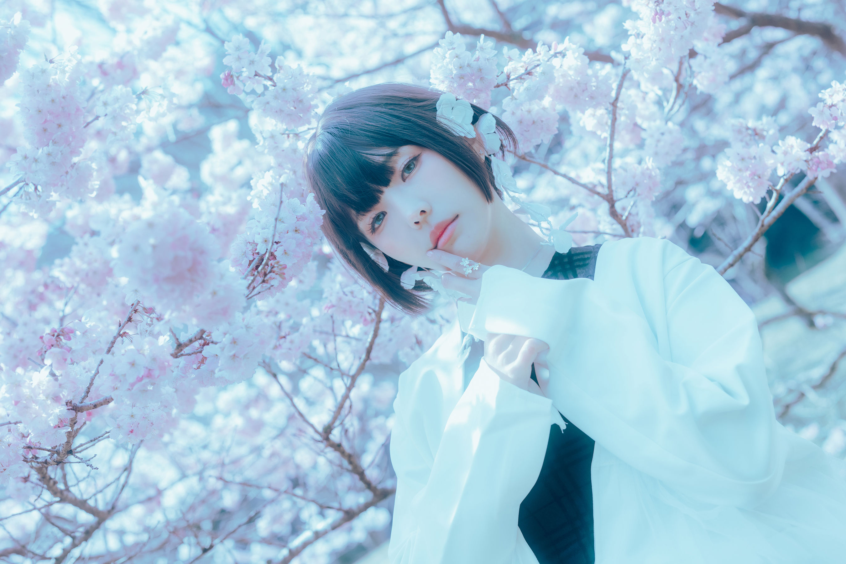 Ely_eee (ElyEE子) - 17°C Pink Sakura17°C粉櫻
