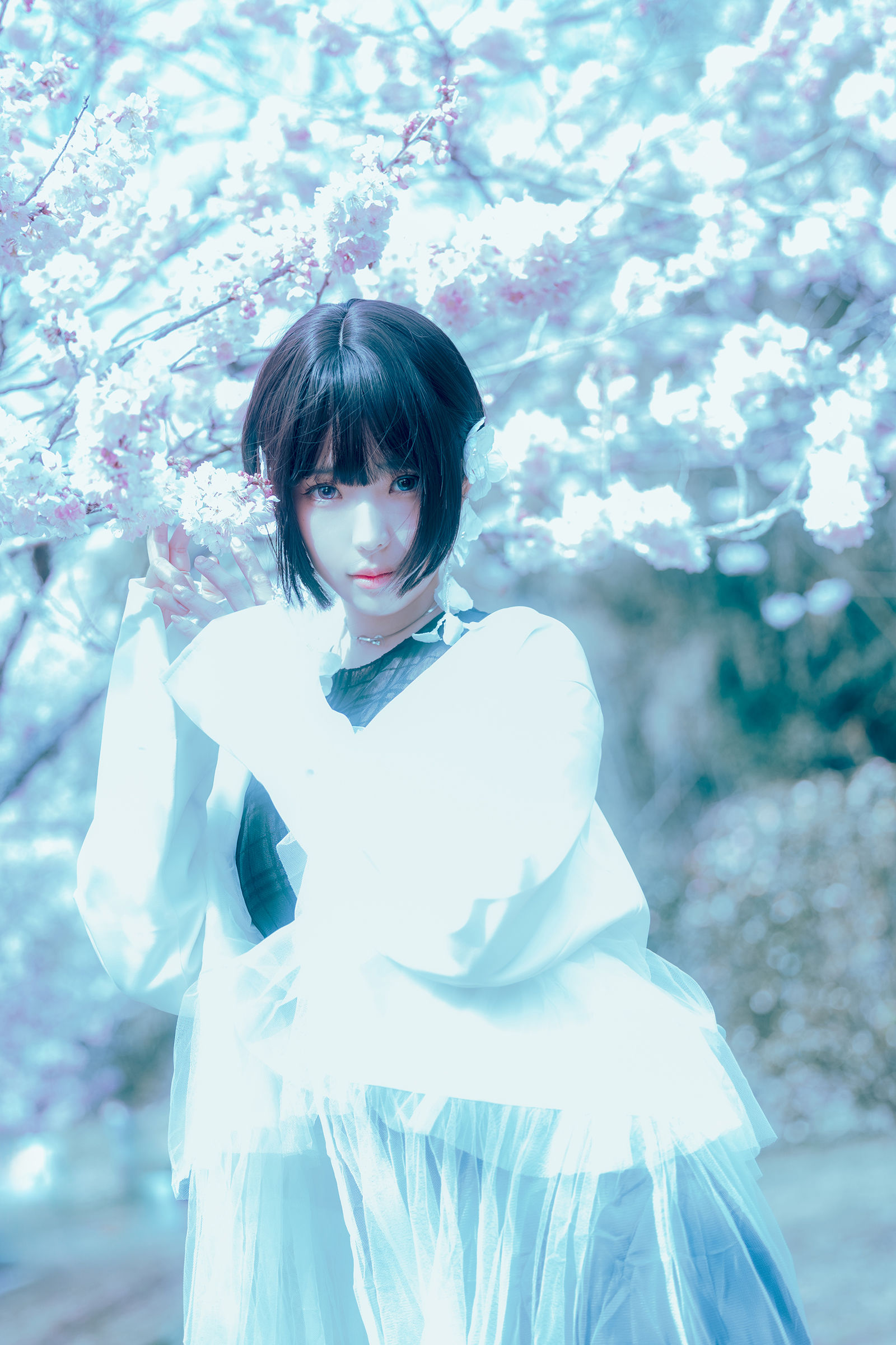 Ely_eee (ElyEE子) - 17°C Pink Sakura17°C粉櫻