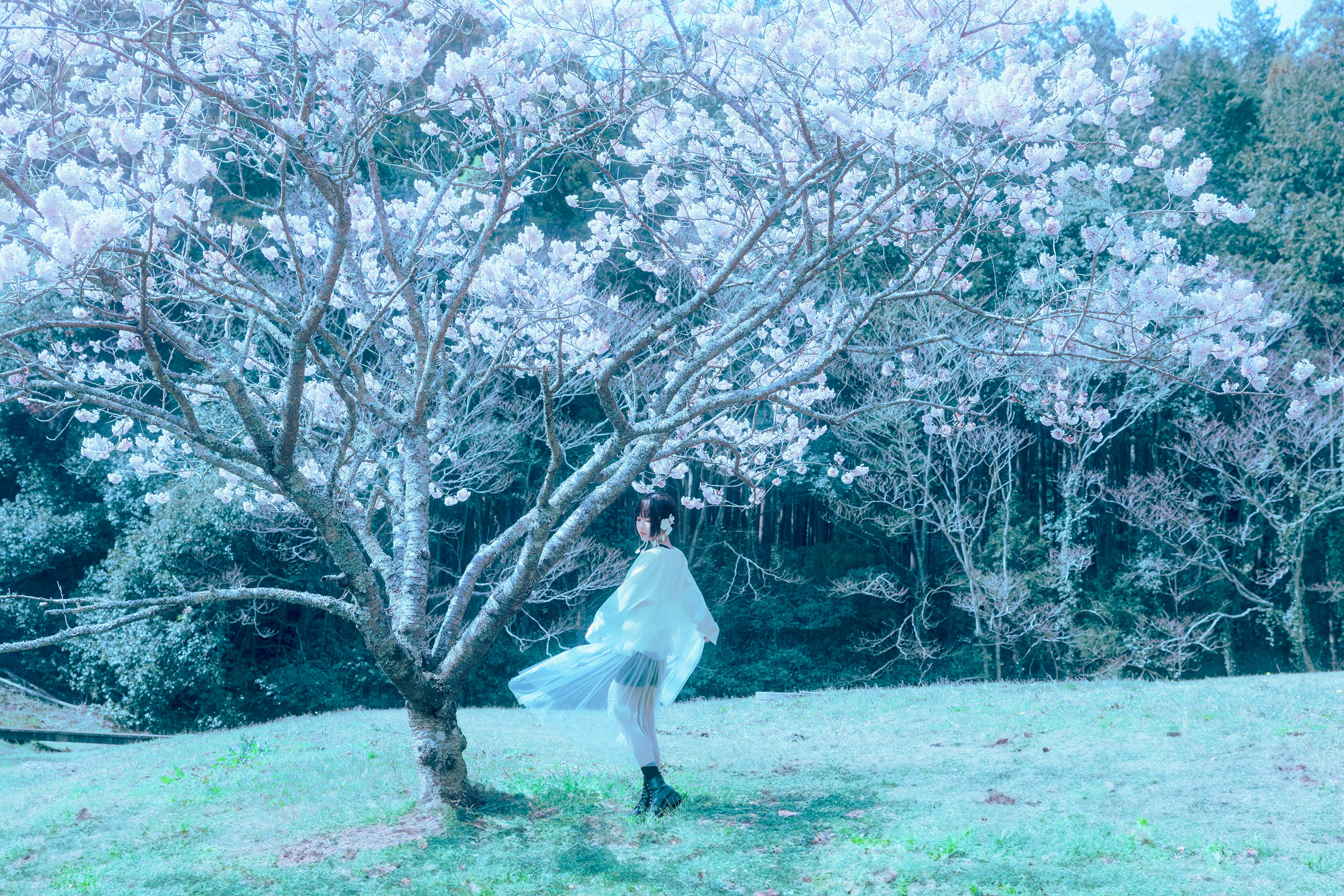 Ely_eee (ElyEE子) - 17°C Pink Sakura17°C粉櫻