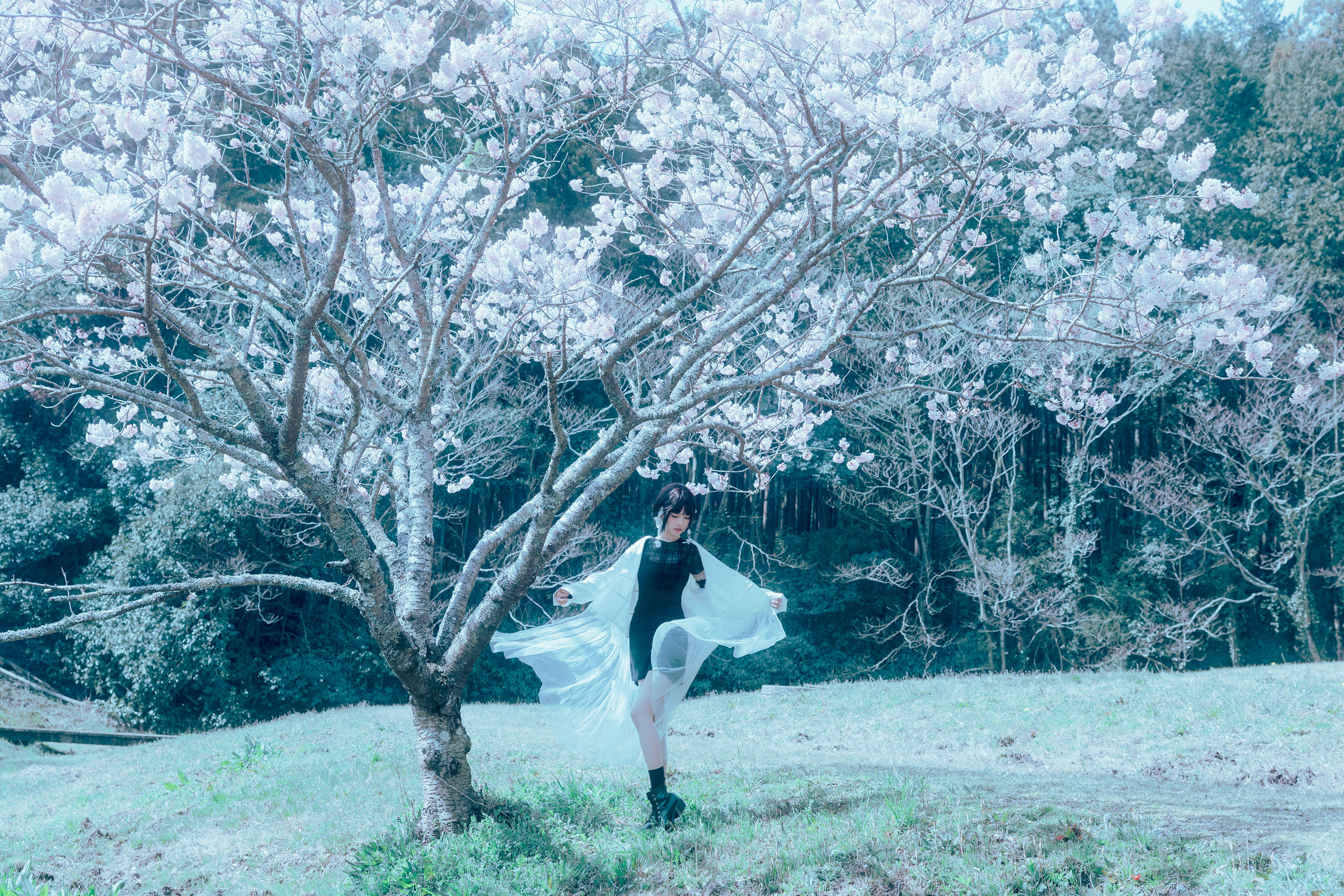 Ely_eee (ElyEE子) - 17°C Pink Sakura17°C粉櫻