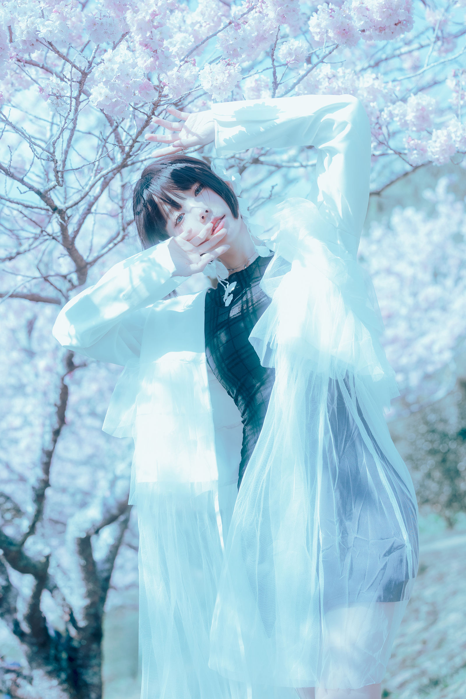 Ely_eee (ElyEE子) - 17°C Pink Sakura17°C粉櫻