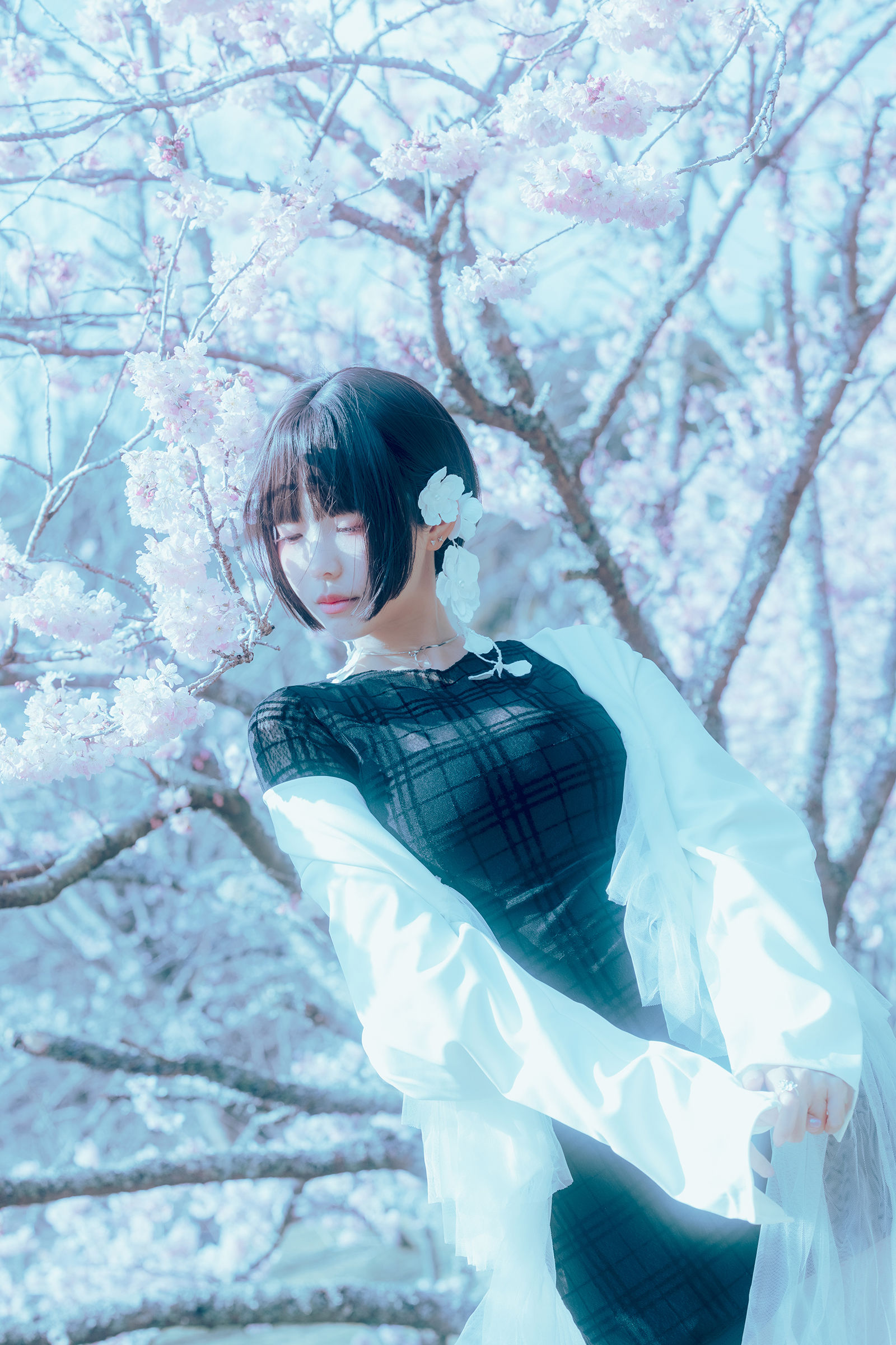 Ely_eee (ElyEE子) - 17°C Pink Sakura17°C粉櫻