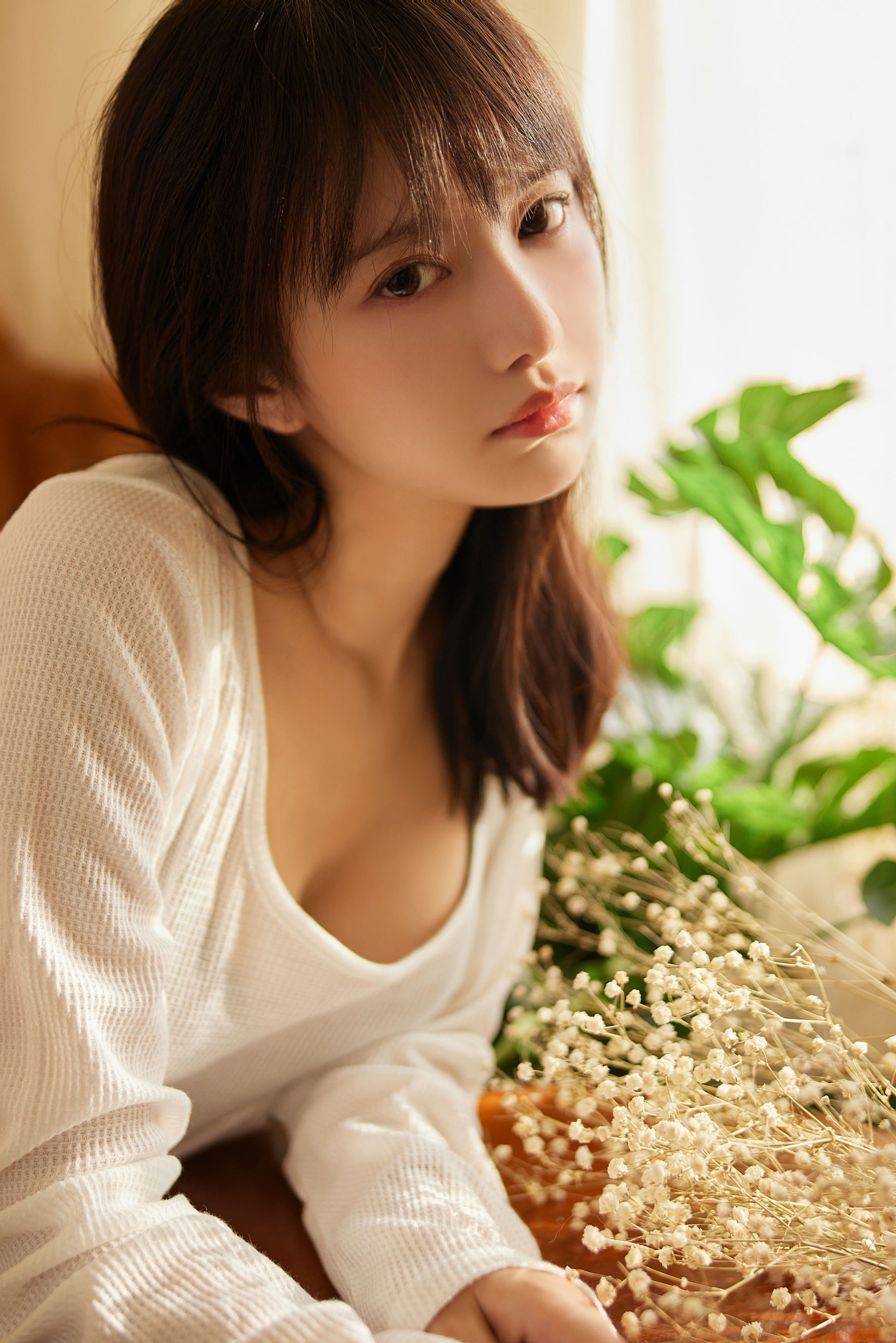 Shika小鹿鹿 - 鹳鸟踟蹰