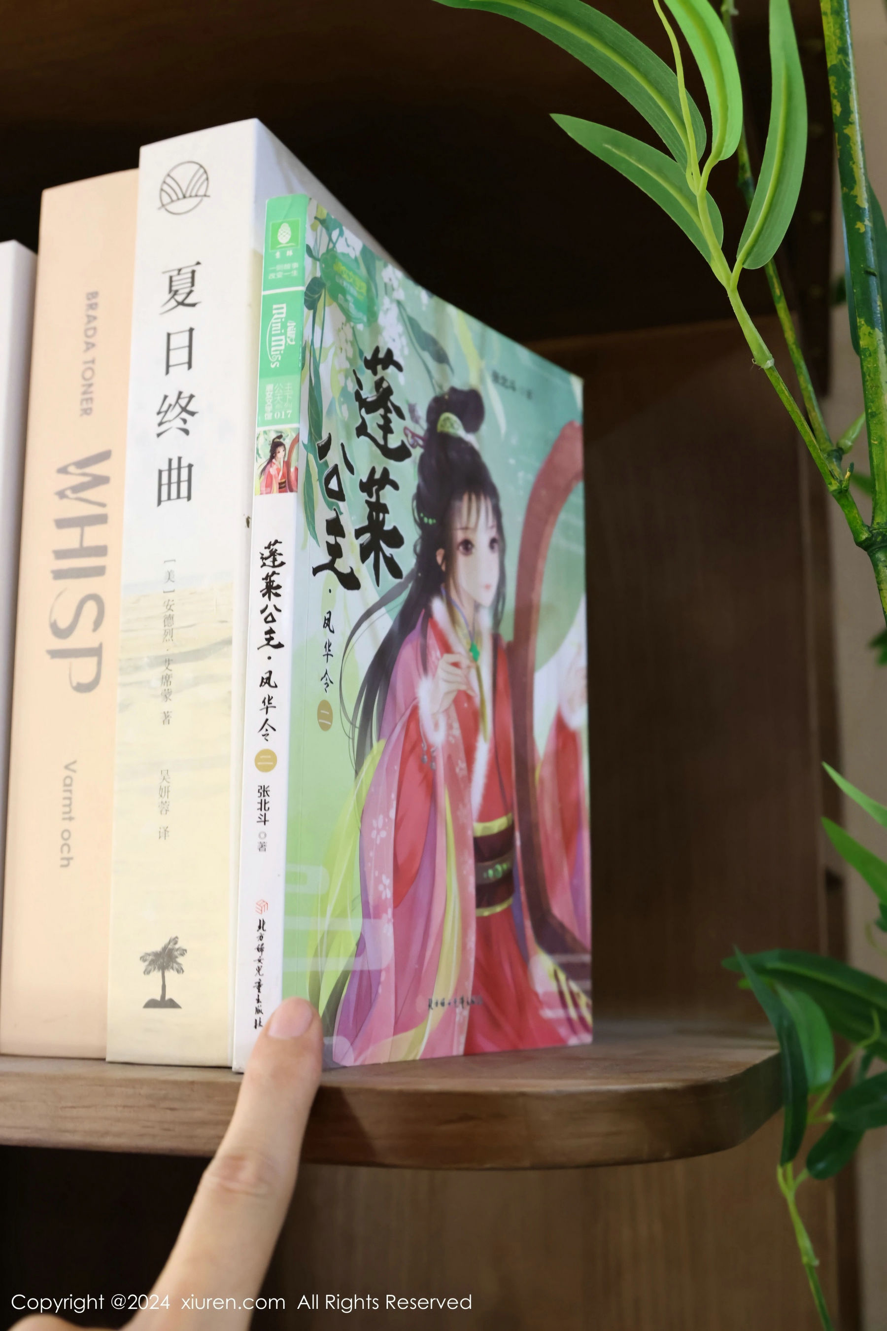 [秀人XiuRen] 2024.05.31 No.8637 小薯条nienie